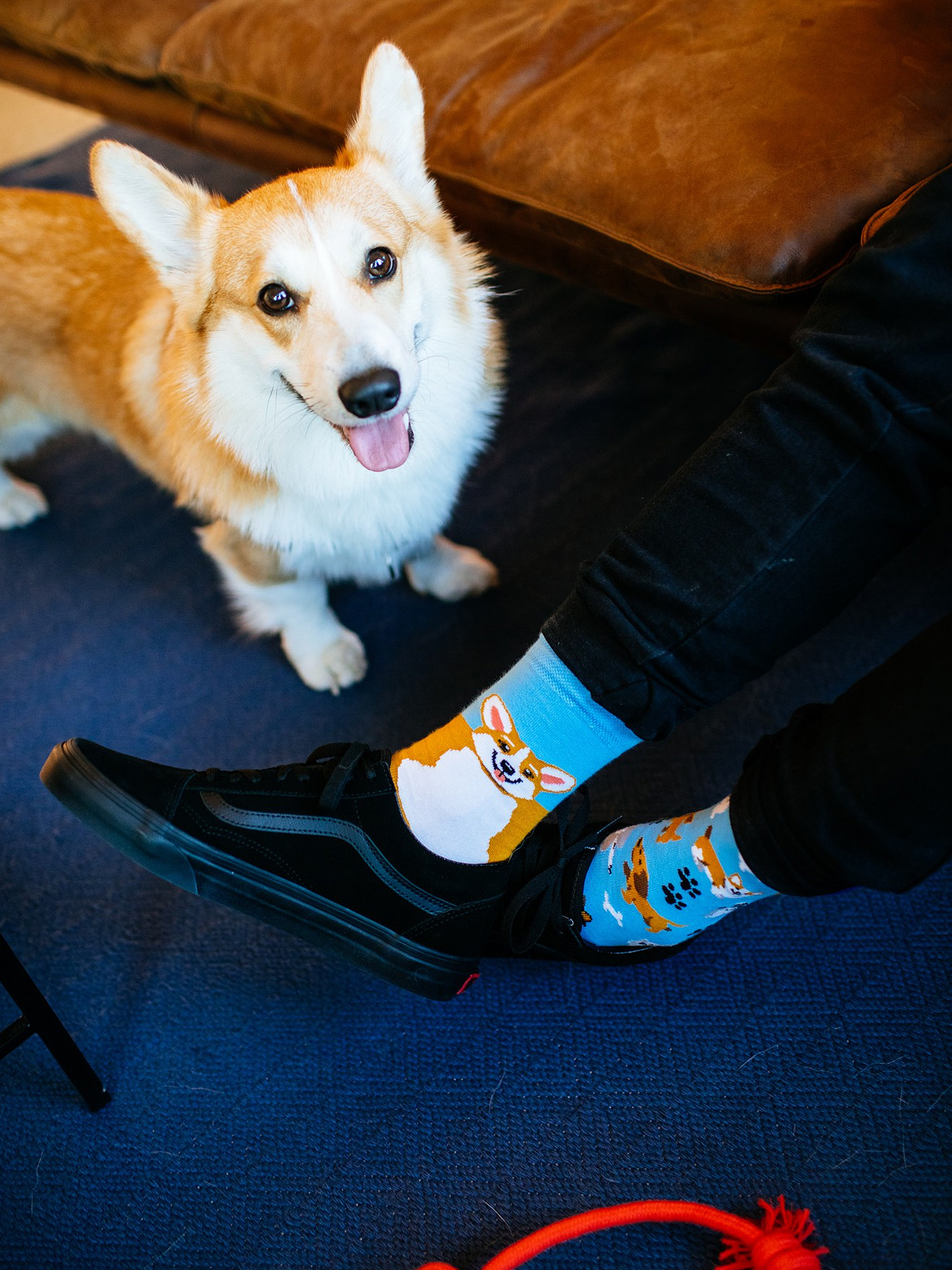 Many Mornings Playful Dog Zokni (light blue/mustard)