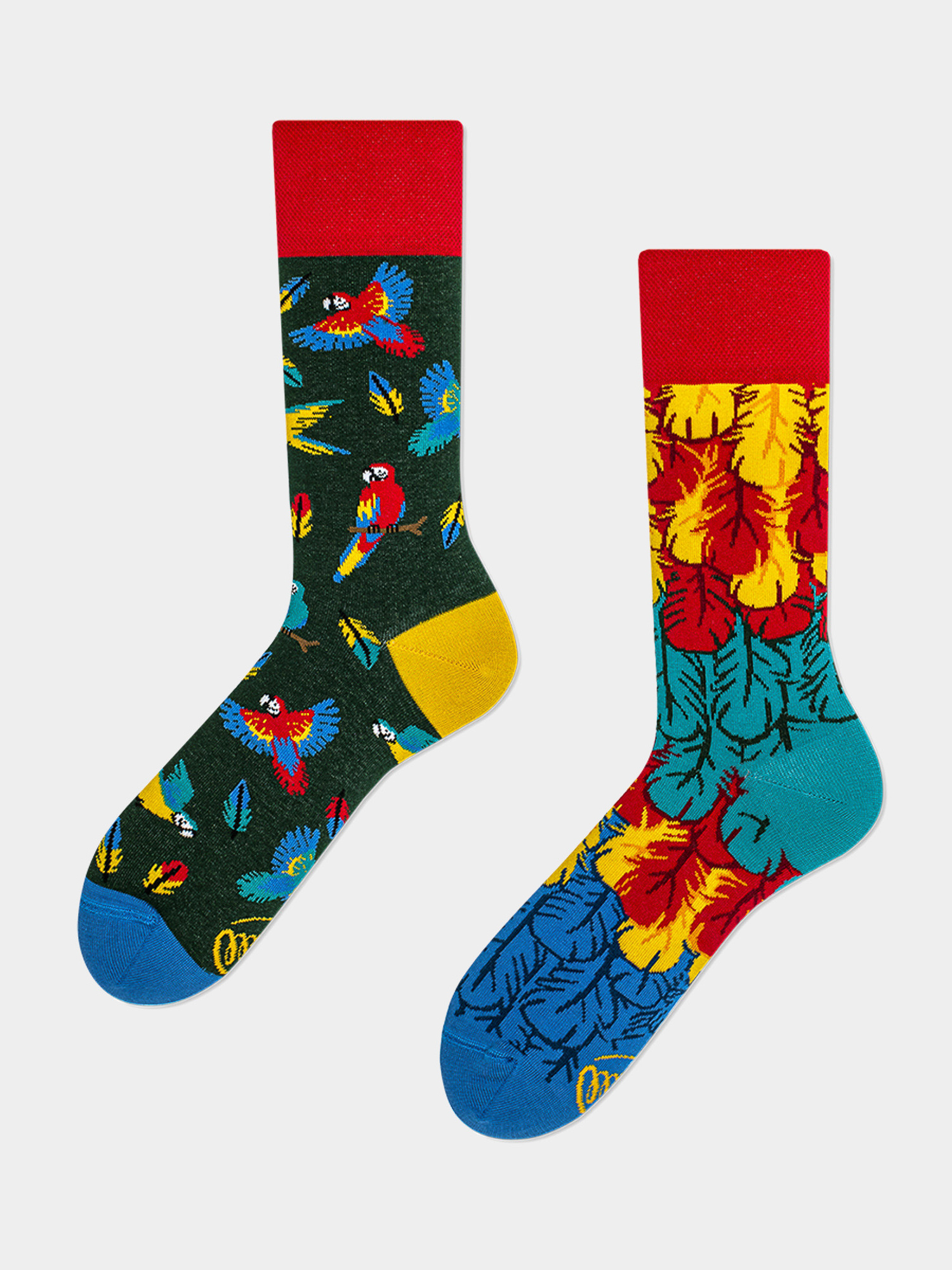 Many Mornings Paradise Parrot Zokni (red/blue/yellow)