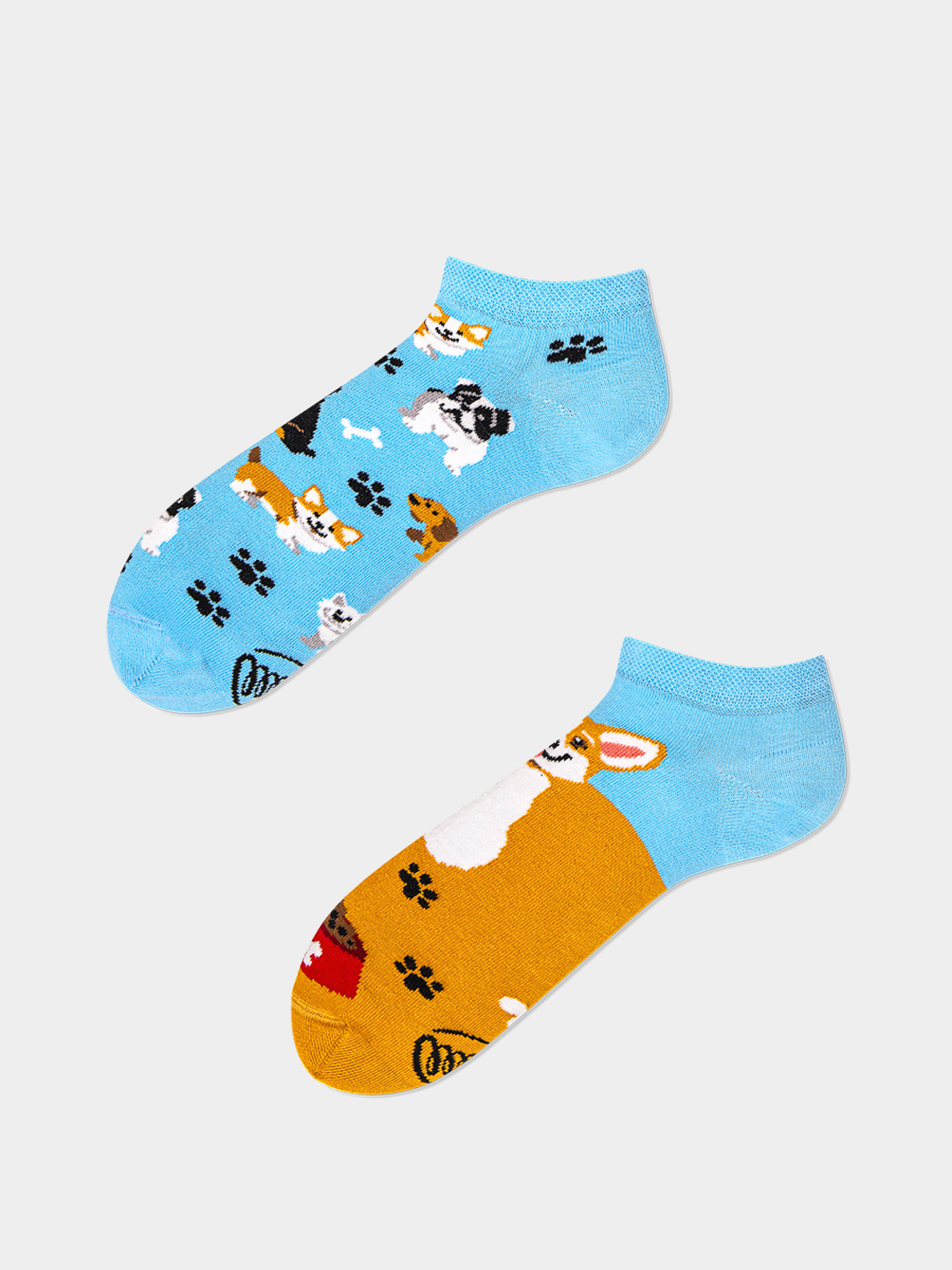 Many Mornings Playful Dog Low Zokni (light blue/mustard)