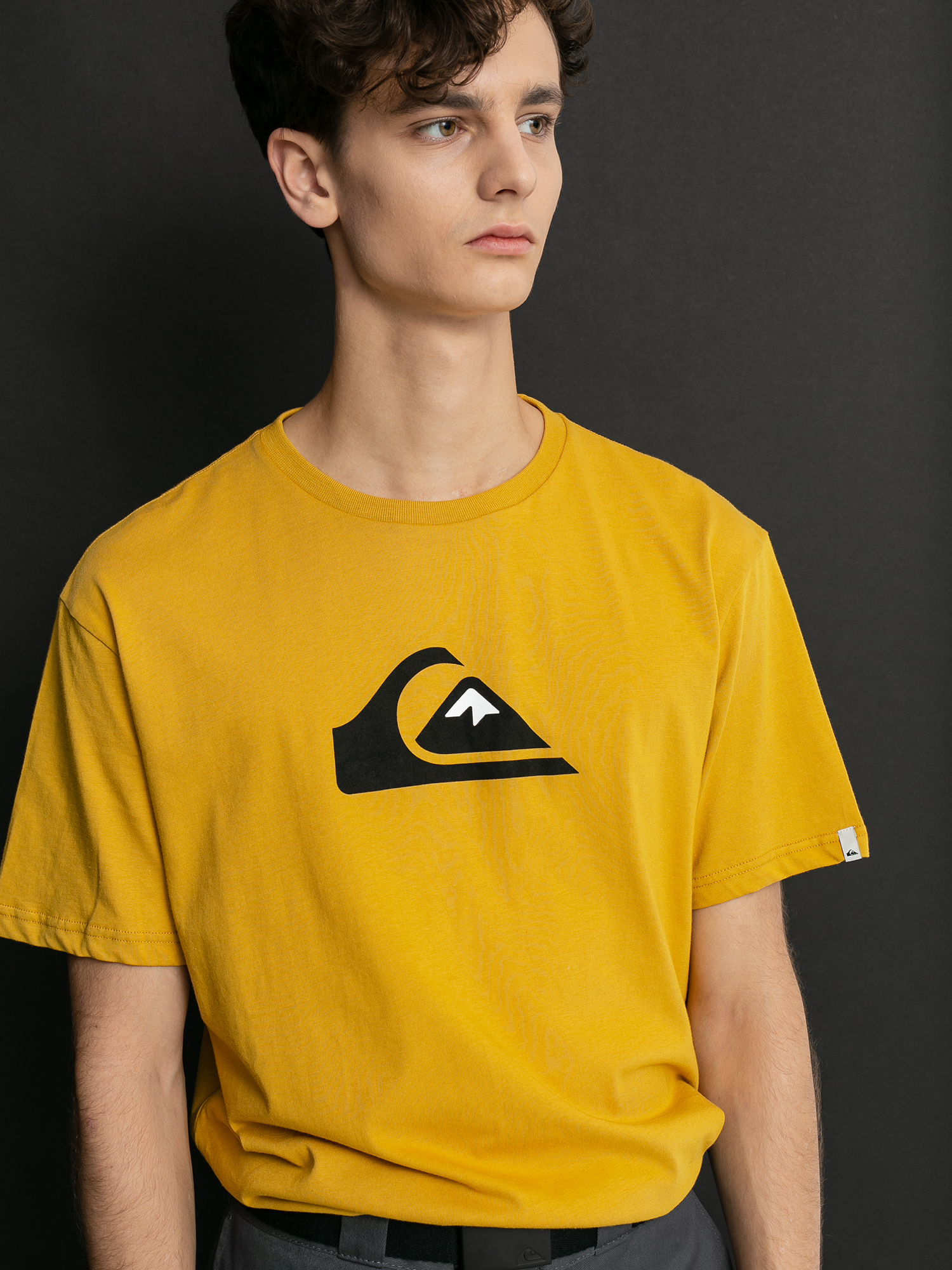 Quiksilver Comp Logo Ujjatlan felső (honey)