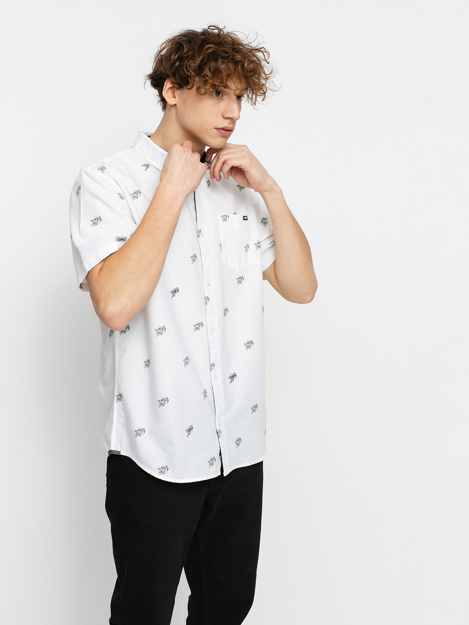 Vans Houser Ss Ing (love hate)