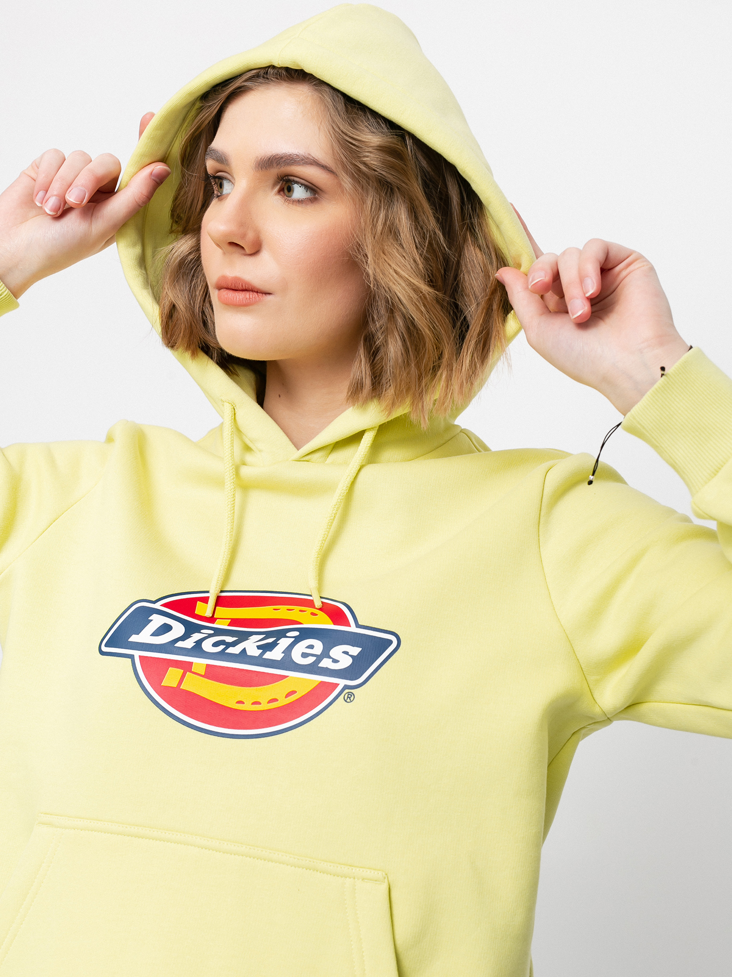 Dickies Icon Logo HD Wmn Kapucnis pulóver (mellow green)