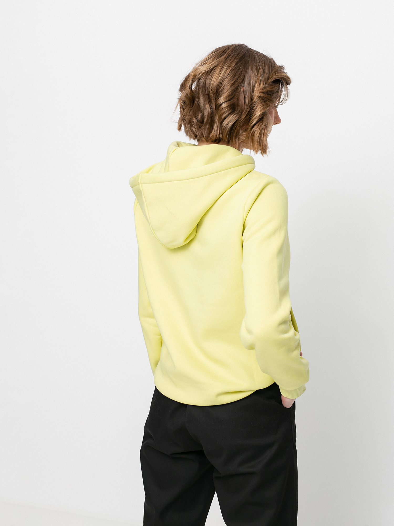 Dickies Icon Logo HD Wmn Kapucnis pulóver (mellow green)