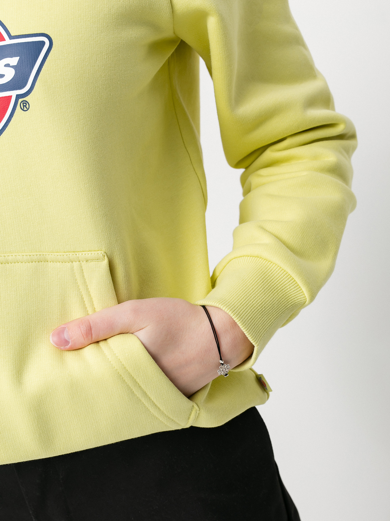 Dickies Icon Logo HD Wmn Kapucnis pulóver (mellow green)