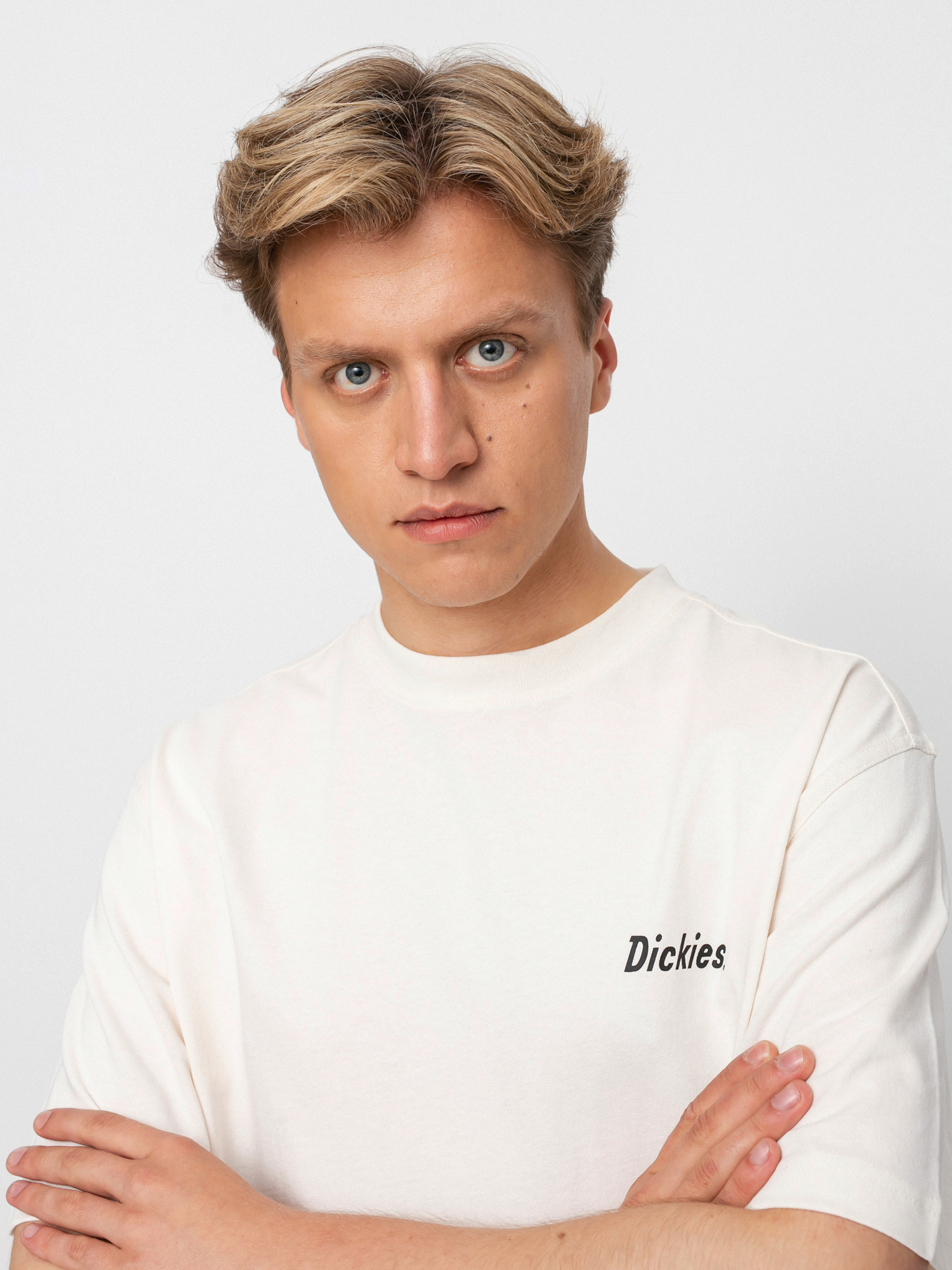 Dickies Bettles póló (ecru)