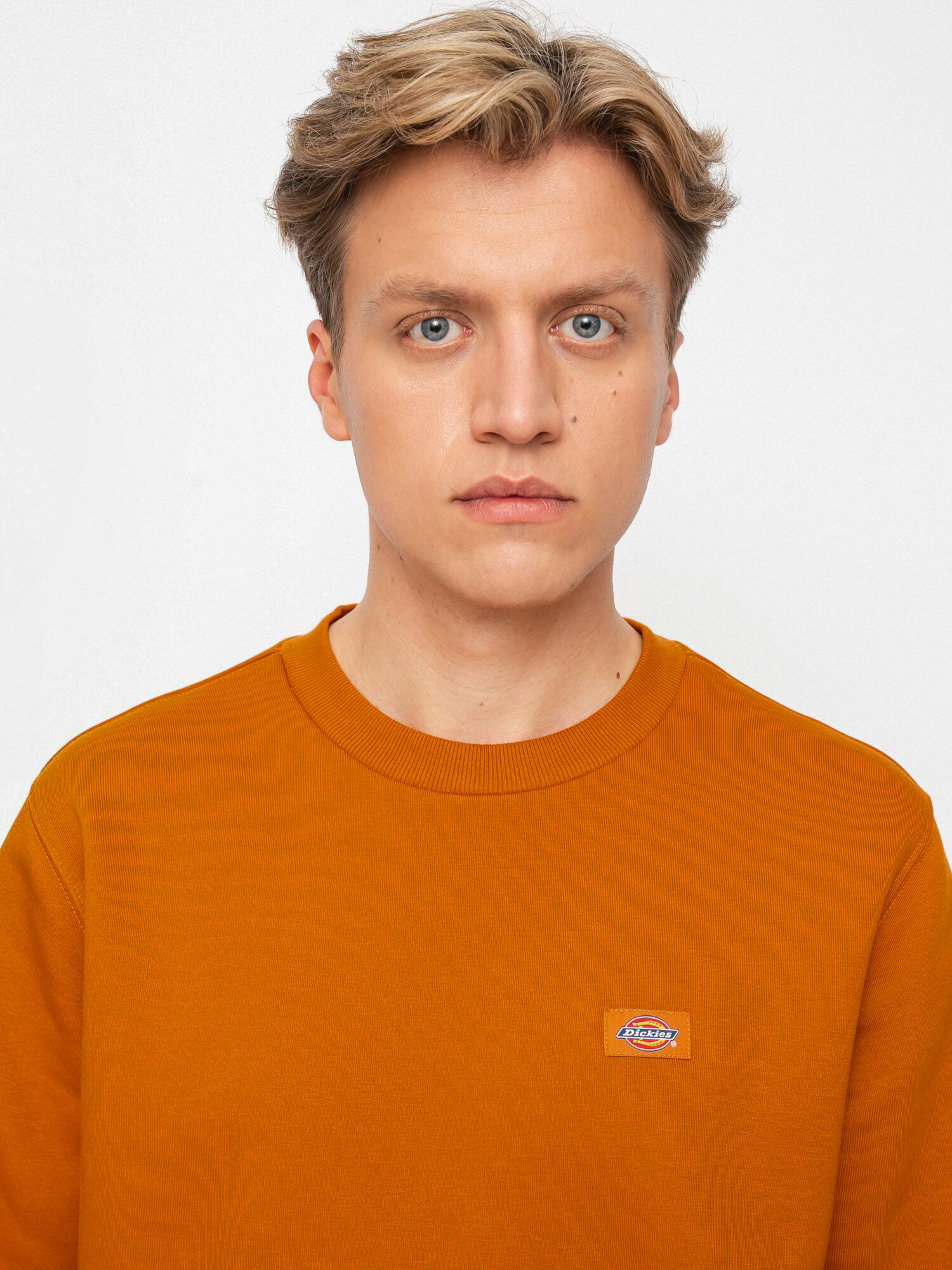 Dickies Oakport Pulóver (pumpkin spice)