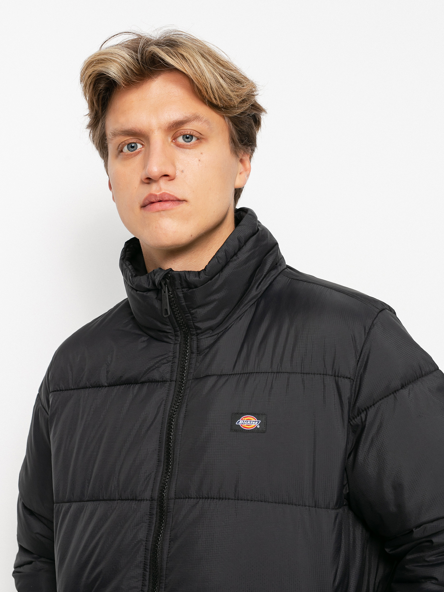 Dickies Waldenburg Dzseki (black)