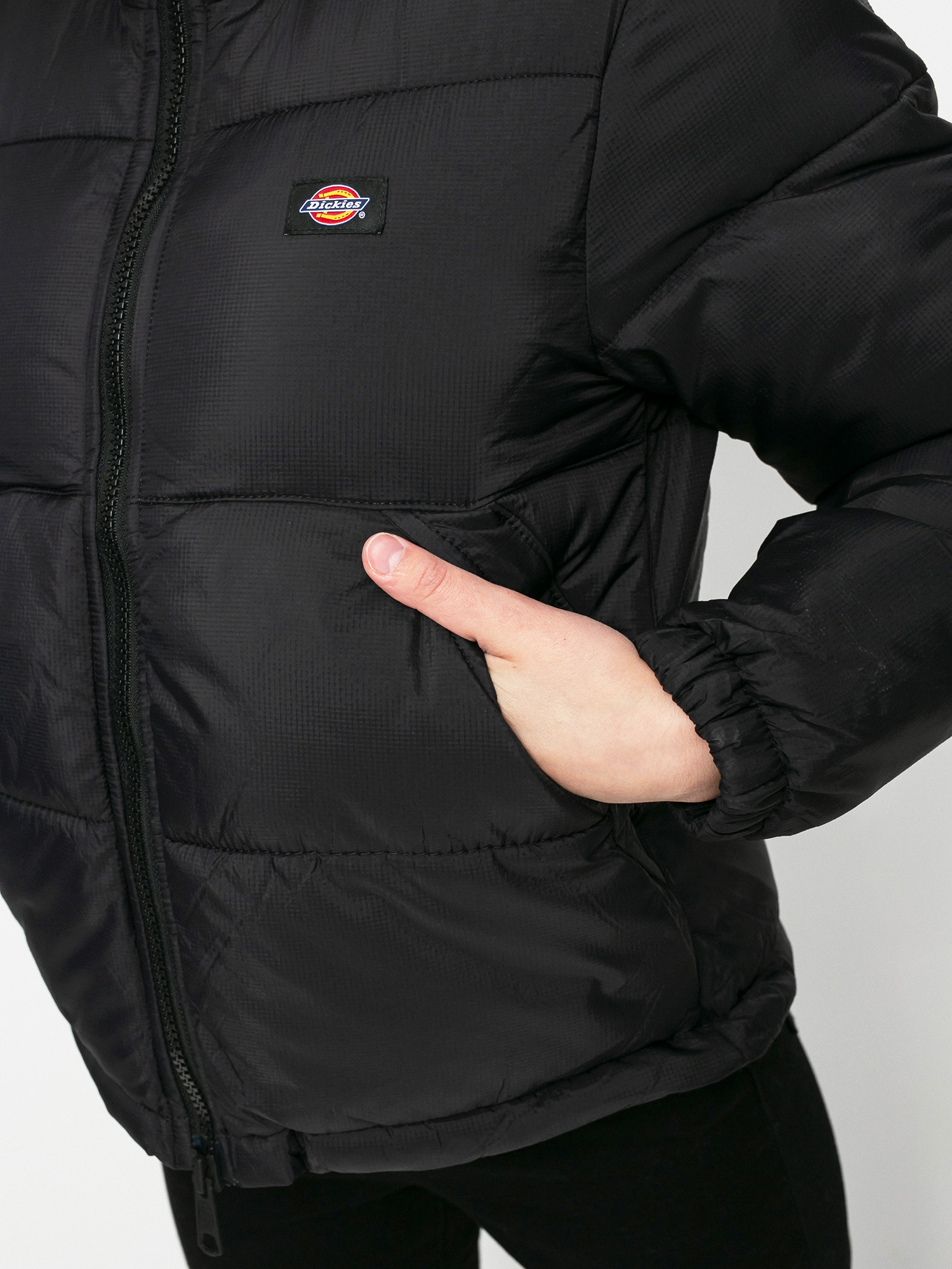Dickies Alatna Dzseki Wmn (black)