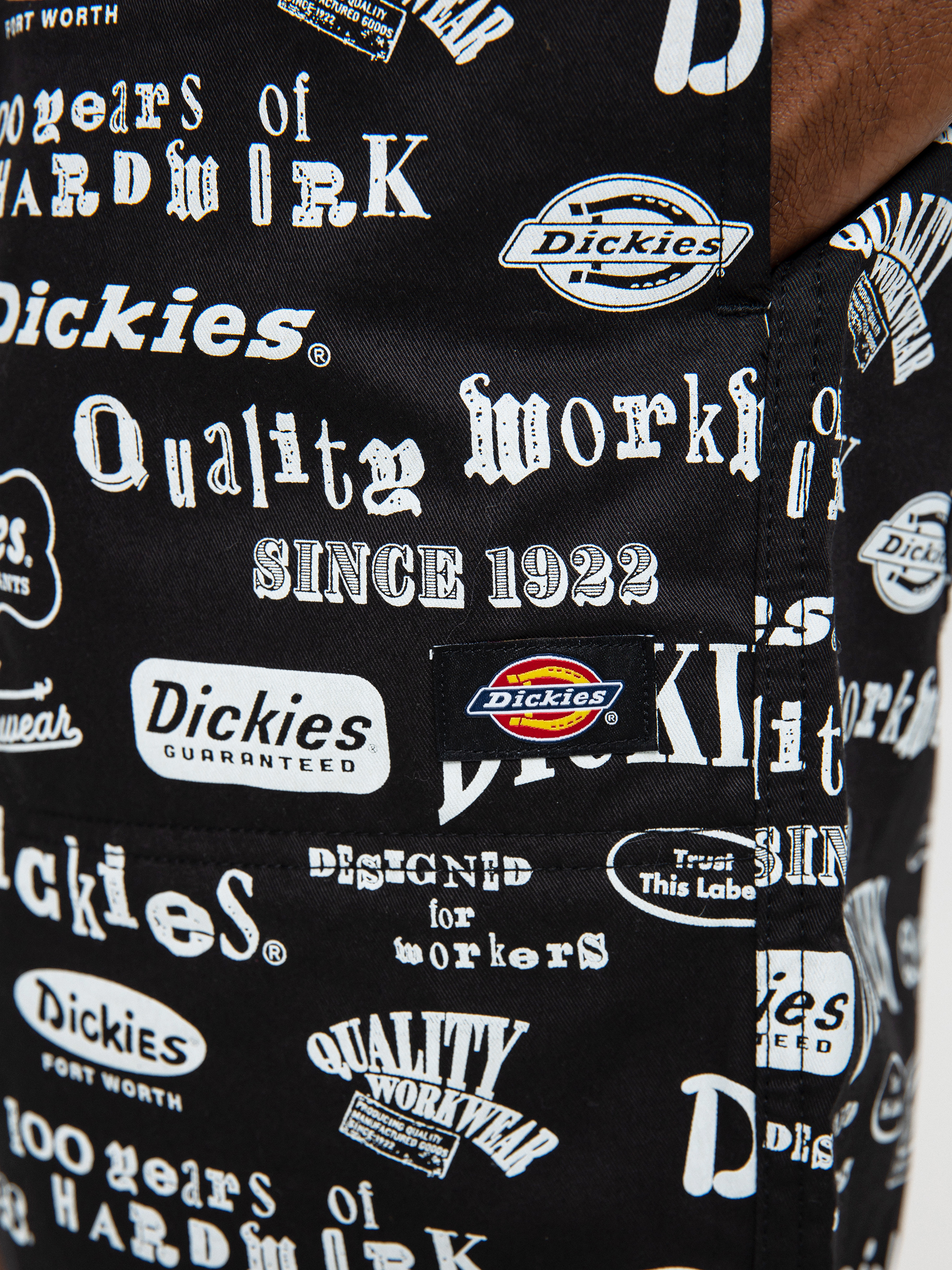 Dickies 100 Aop Rövidnadrág (black)