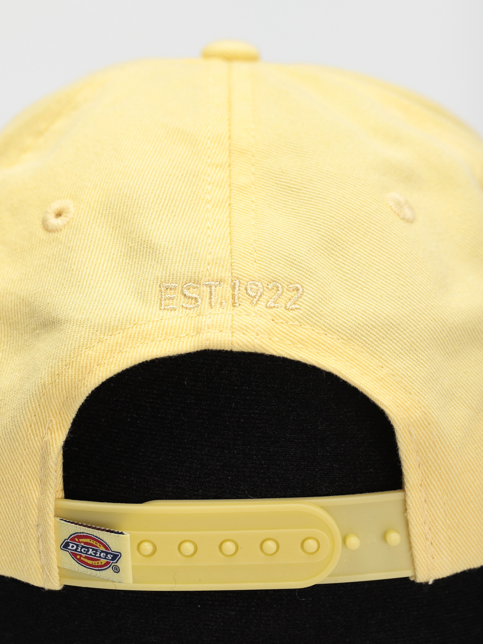 Dickies Hardwick Baseball sapka (pale banana)