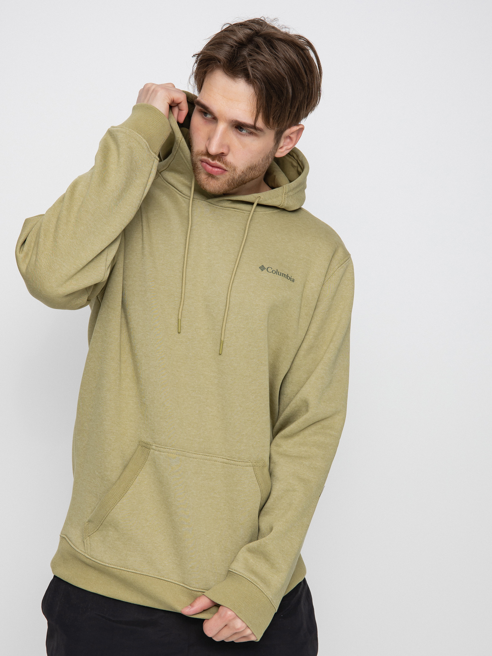 Columbia Basic Logo HD Kapucnis pulóver (savory heather)