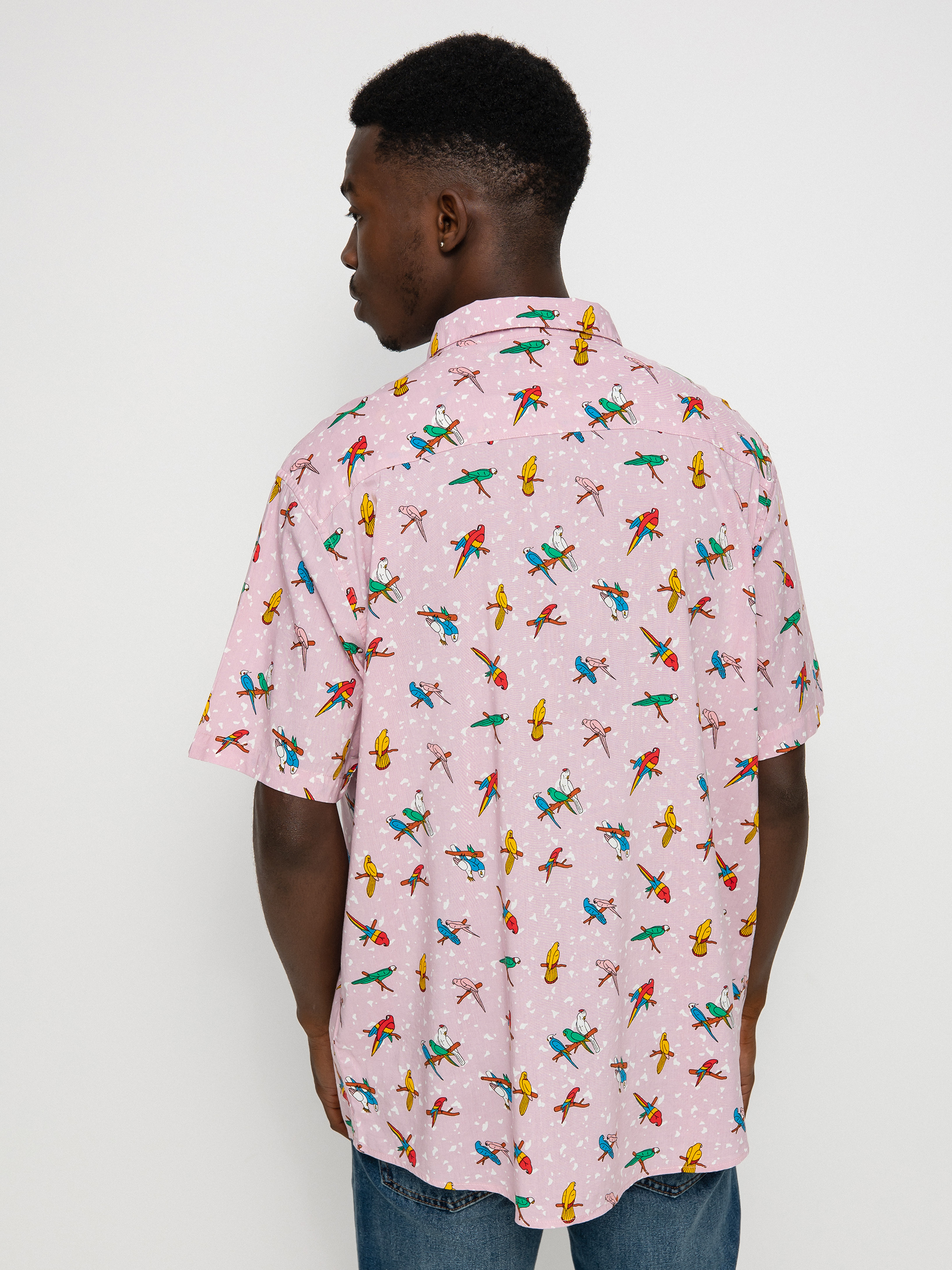RVCA Lp X Klw Parrots Ing (pink)