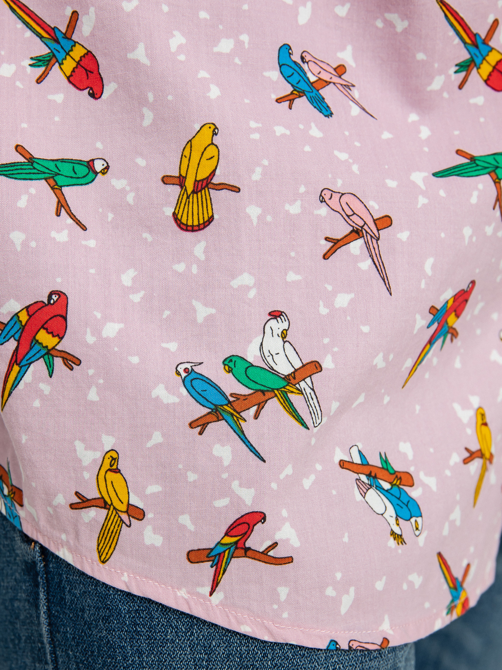 RVCA Lp X Klw Parrots Ing (pink)