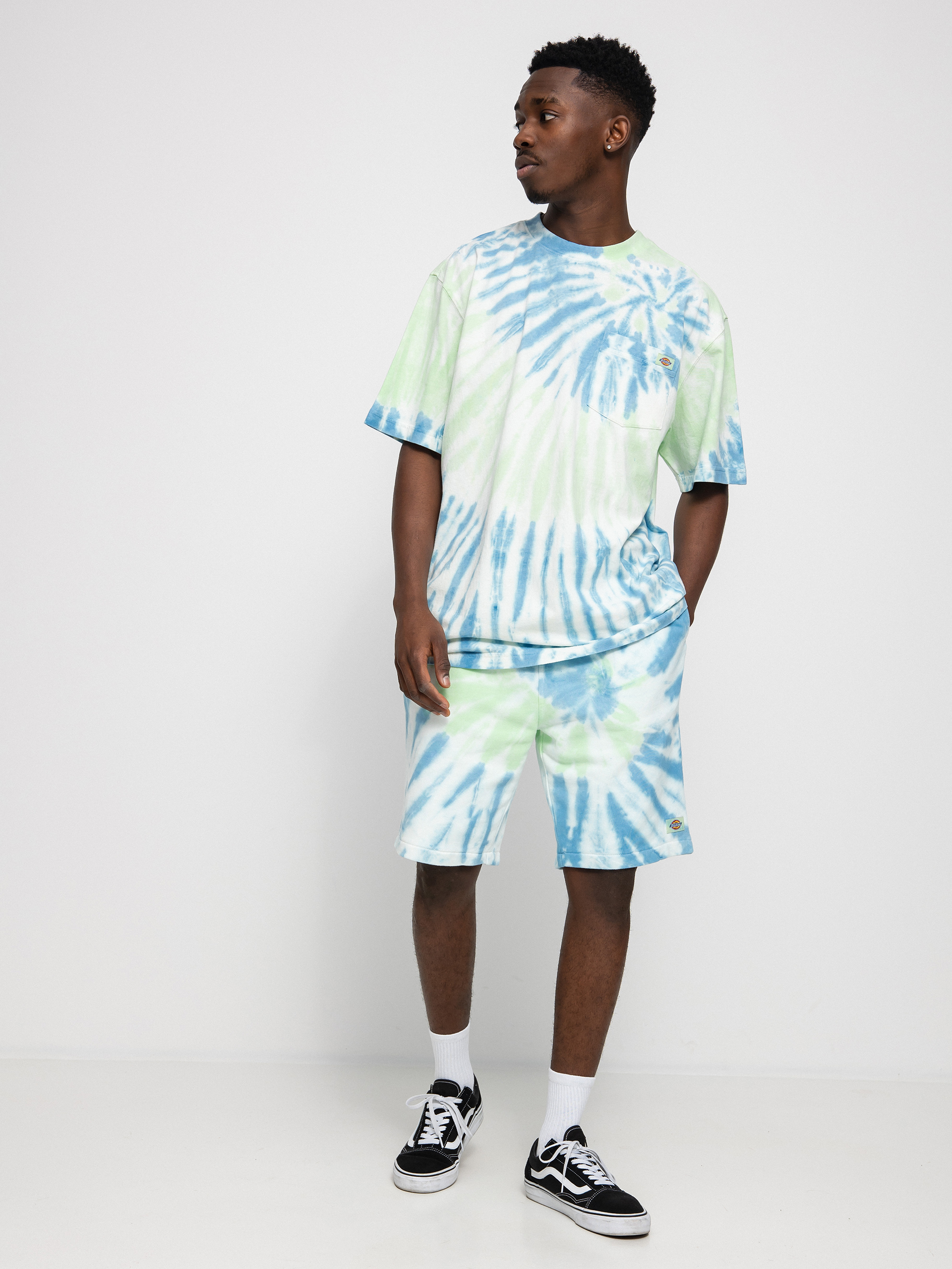 Dickies Seatac póló (celadon green)