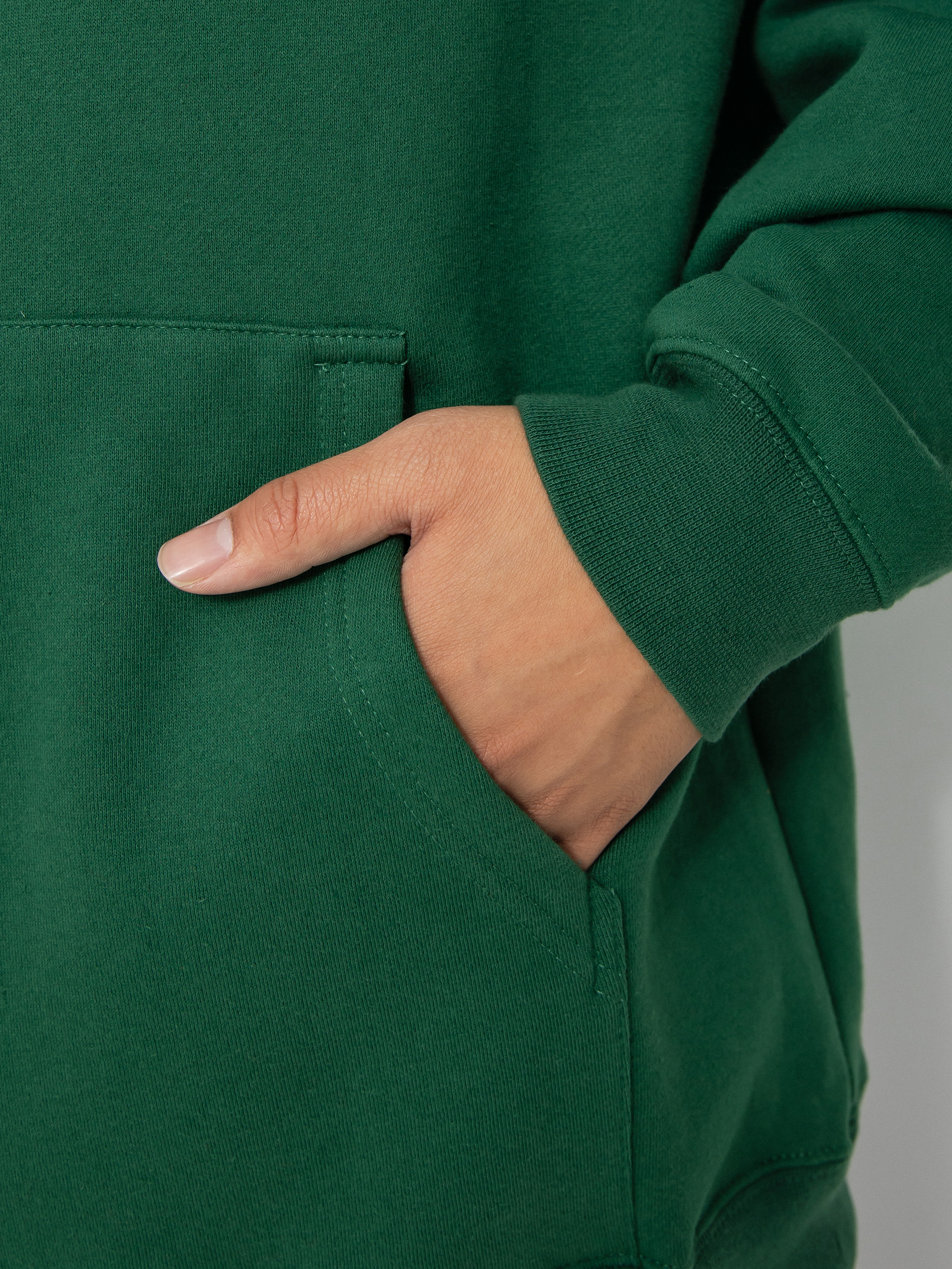 Antihero Eagle HD Kapucnis pulóver (dark green/brown)