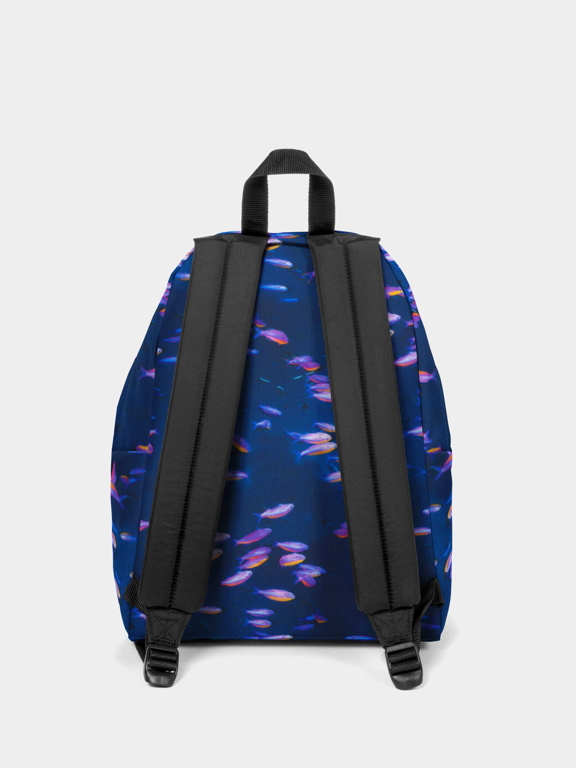 Eastpak X National Geographic Padded Pak R Hátizsák (fish)