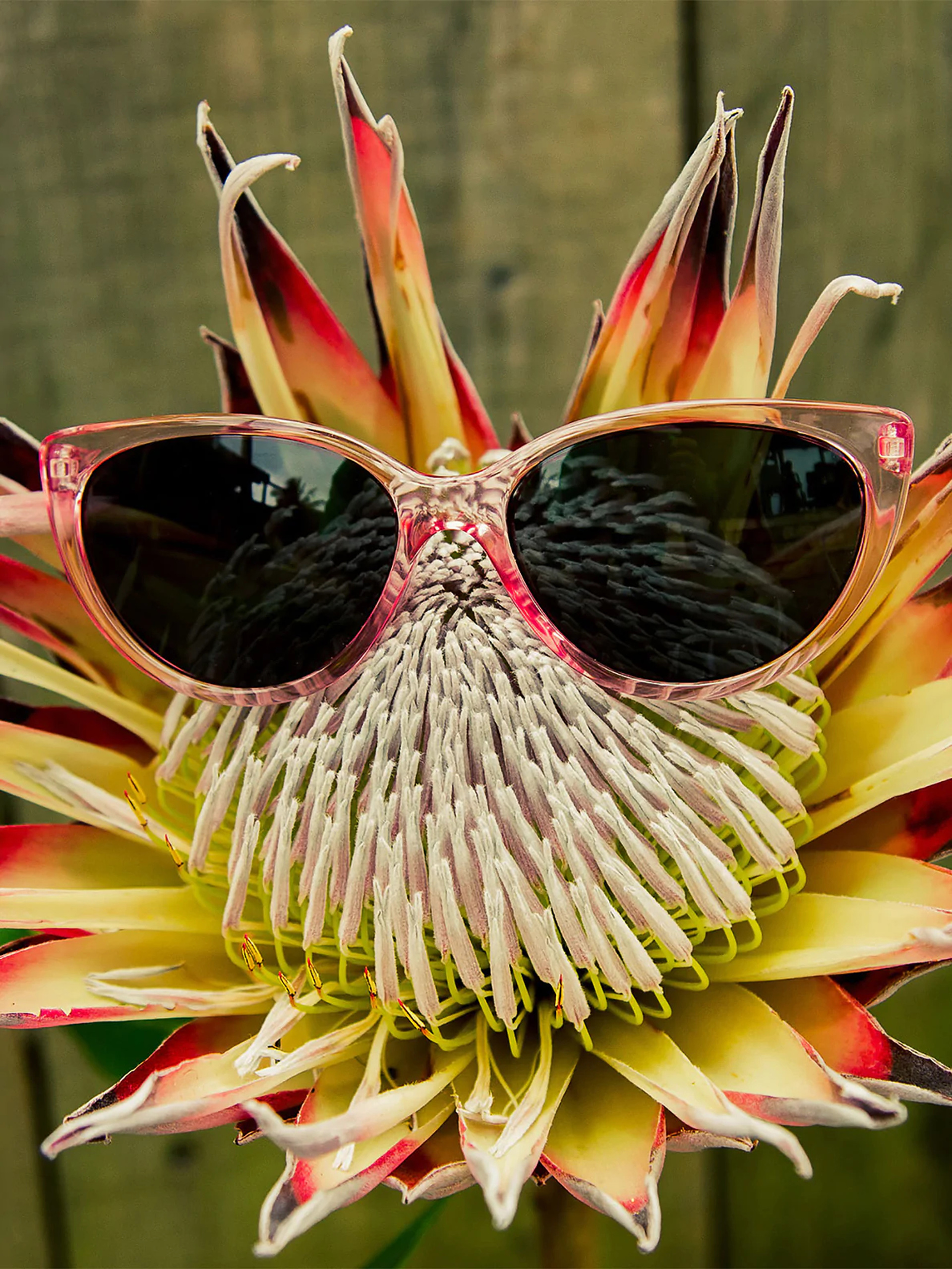 Volcom Butter Napszemüvegek Wmn (crystal light pink/gray)