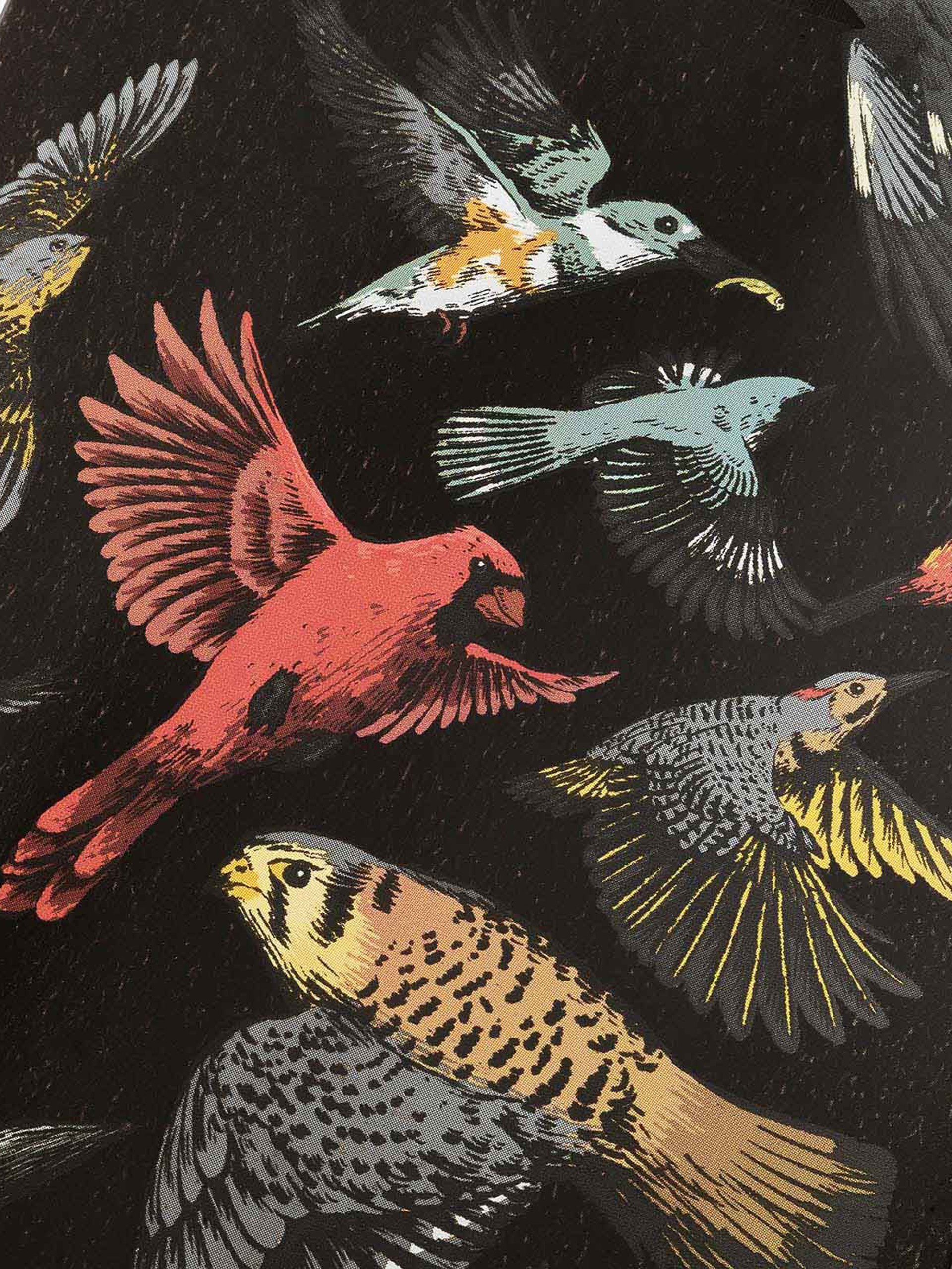 Landyachtz Stratus 46 Longboard (sanctuary)