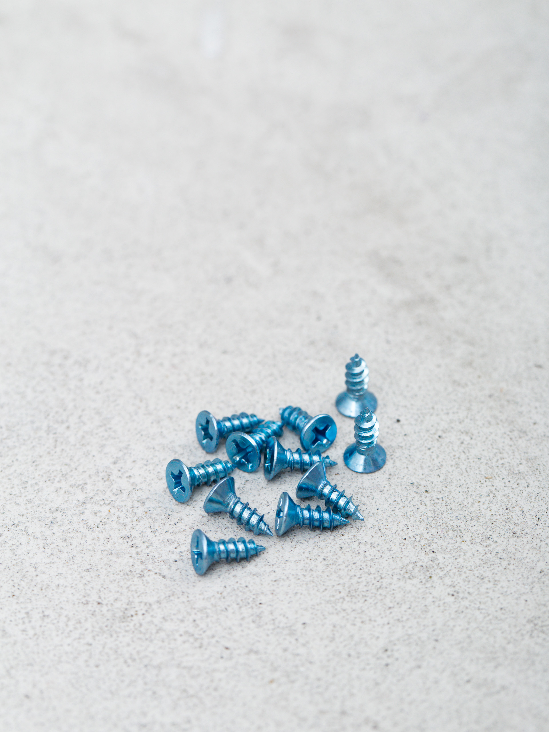 Pig Railsy Rails (zebra)