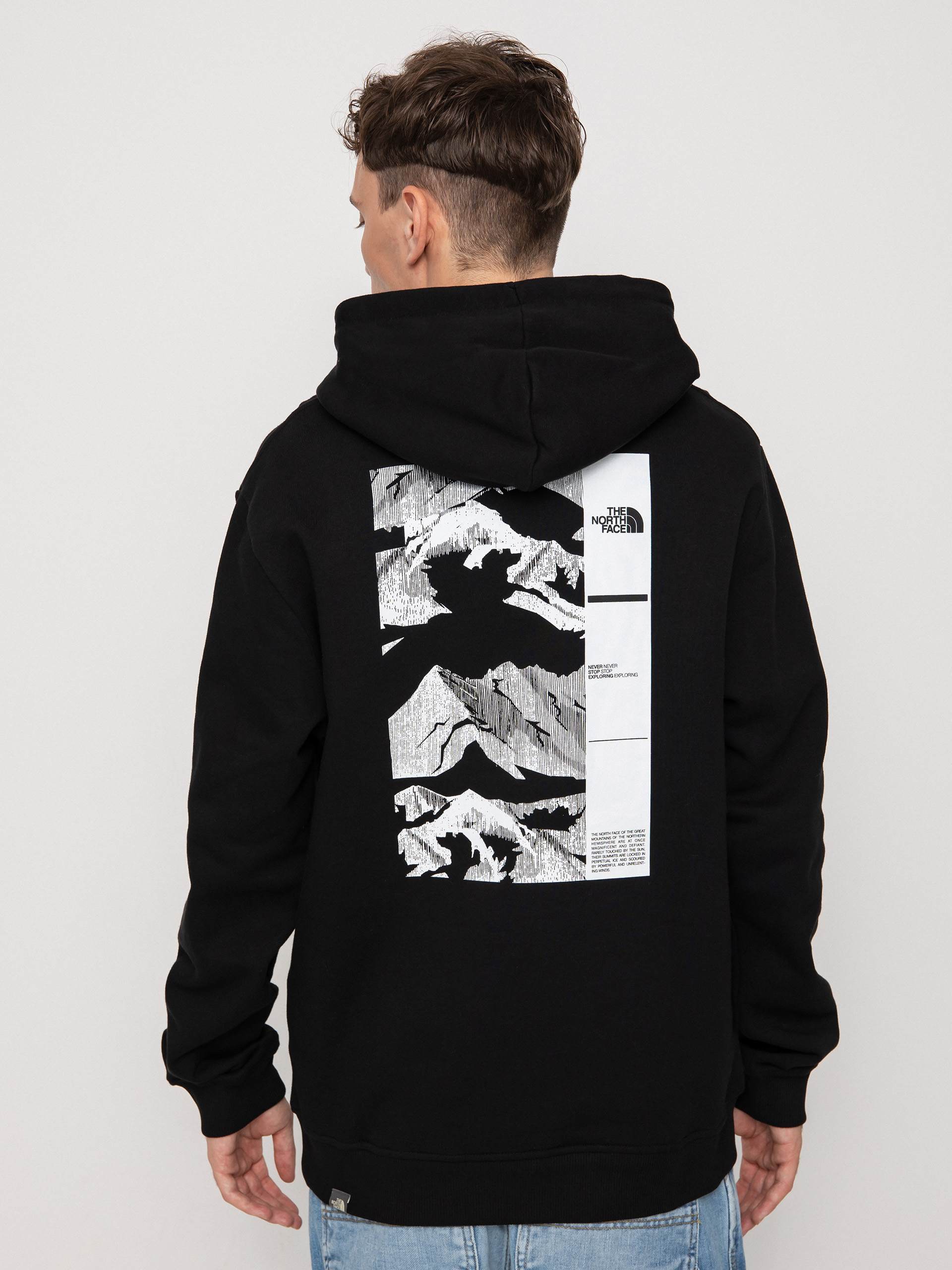 The North Face Coordinates HD Kapucnis pulóver (tnf black)