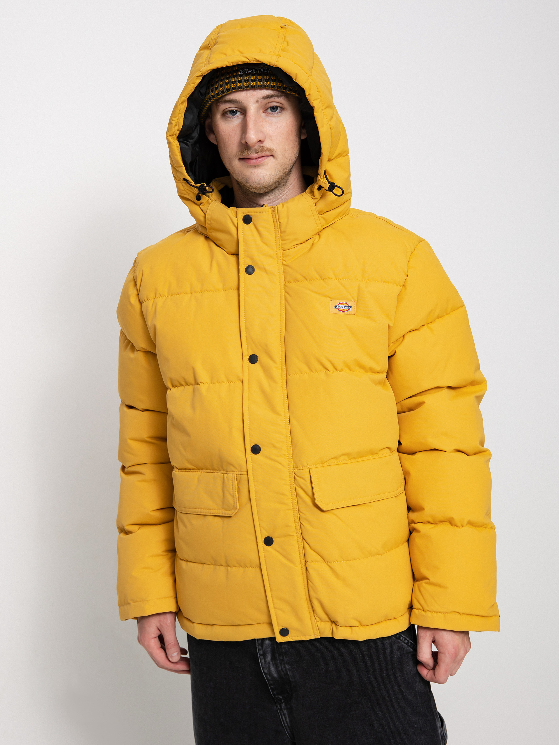 Dickies Glacier View Puffer Dzseki (honey gold)