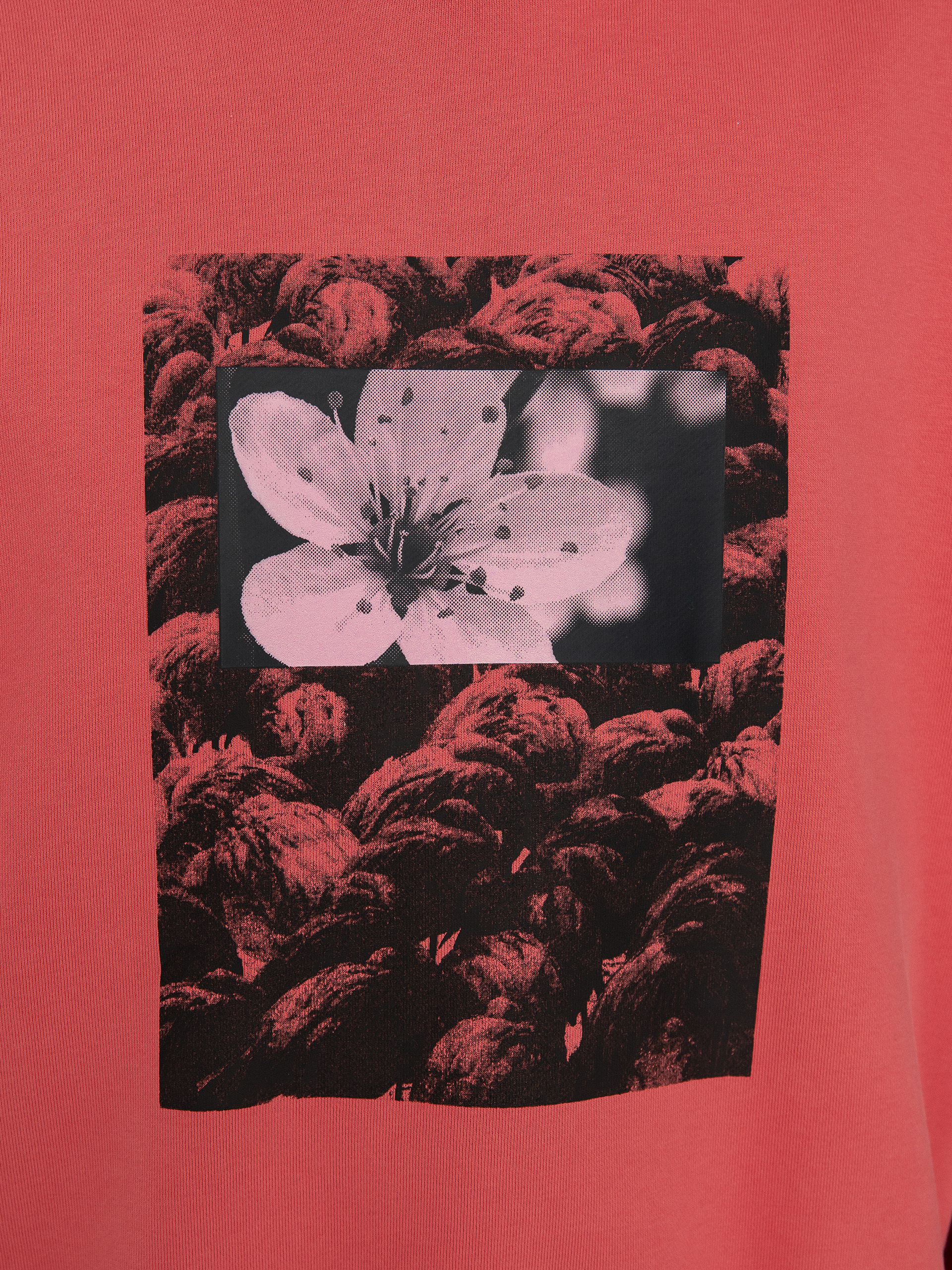 Nike SB Natural Boarder Pulóver (adobe)