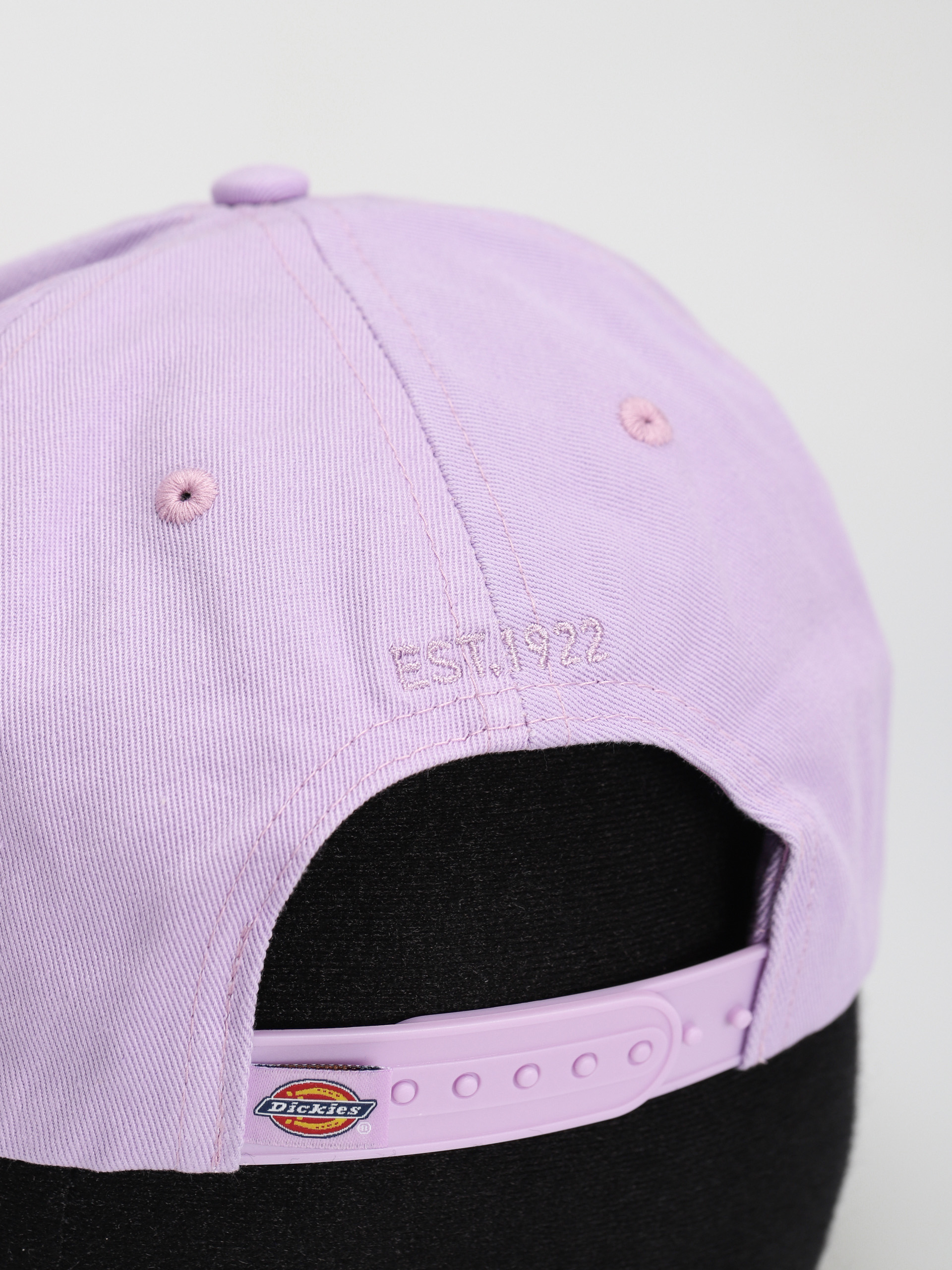 Dickies Hardwick Baseball sapka (purple rose)