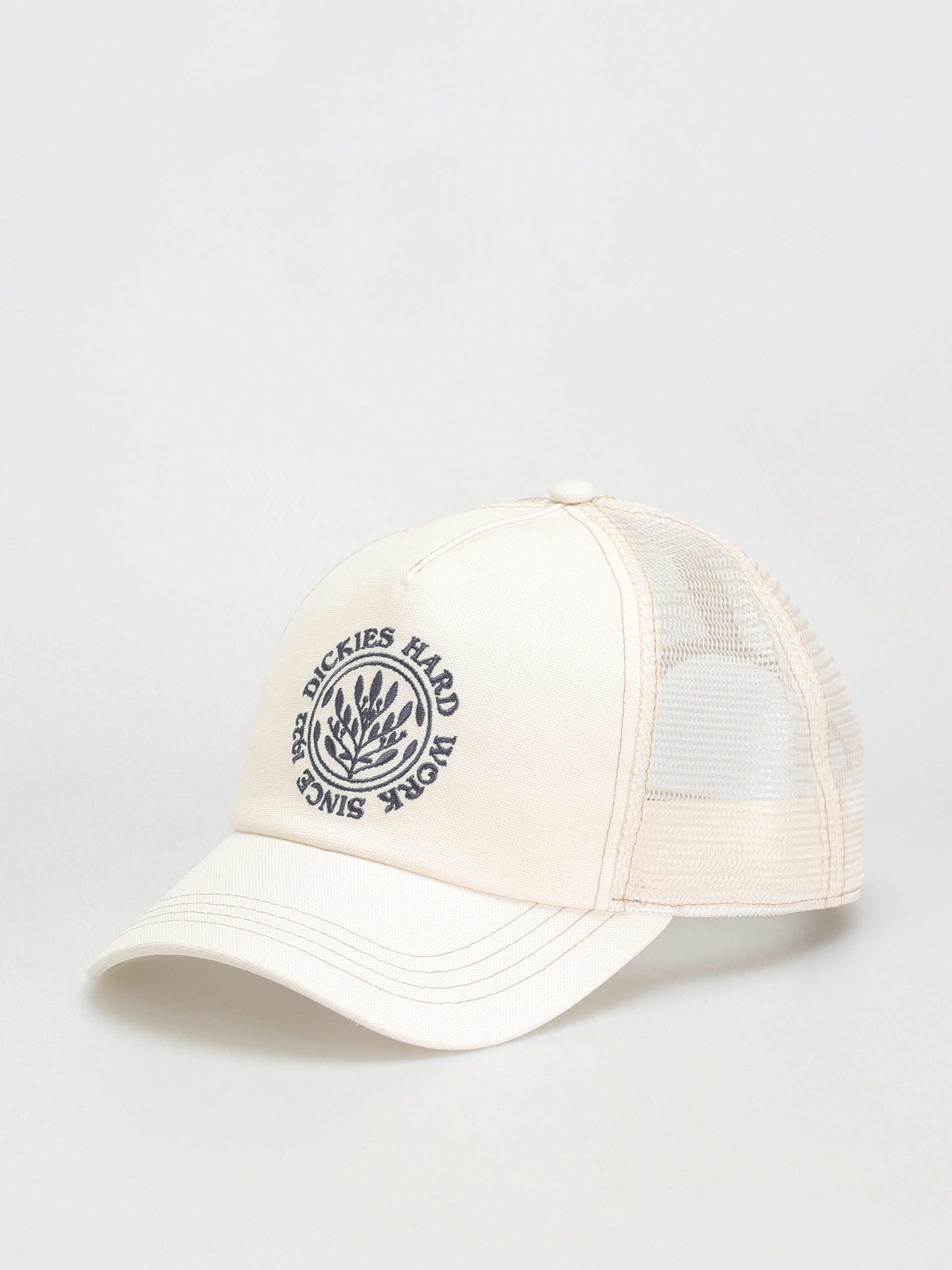 Dickies Beavertown Baseball sapka (cloud)