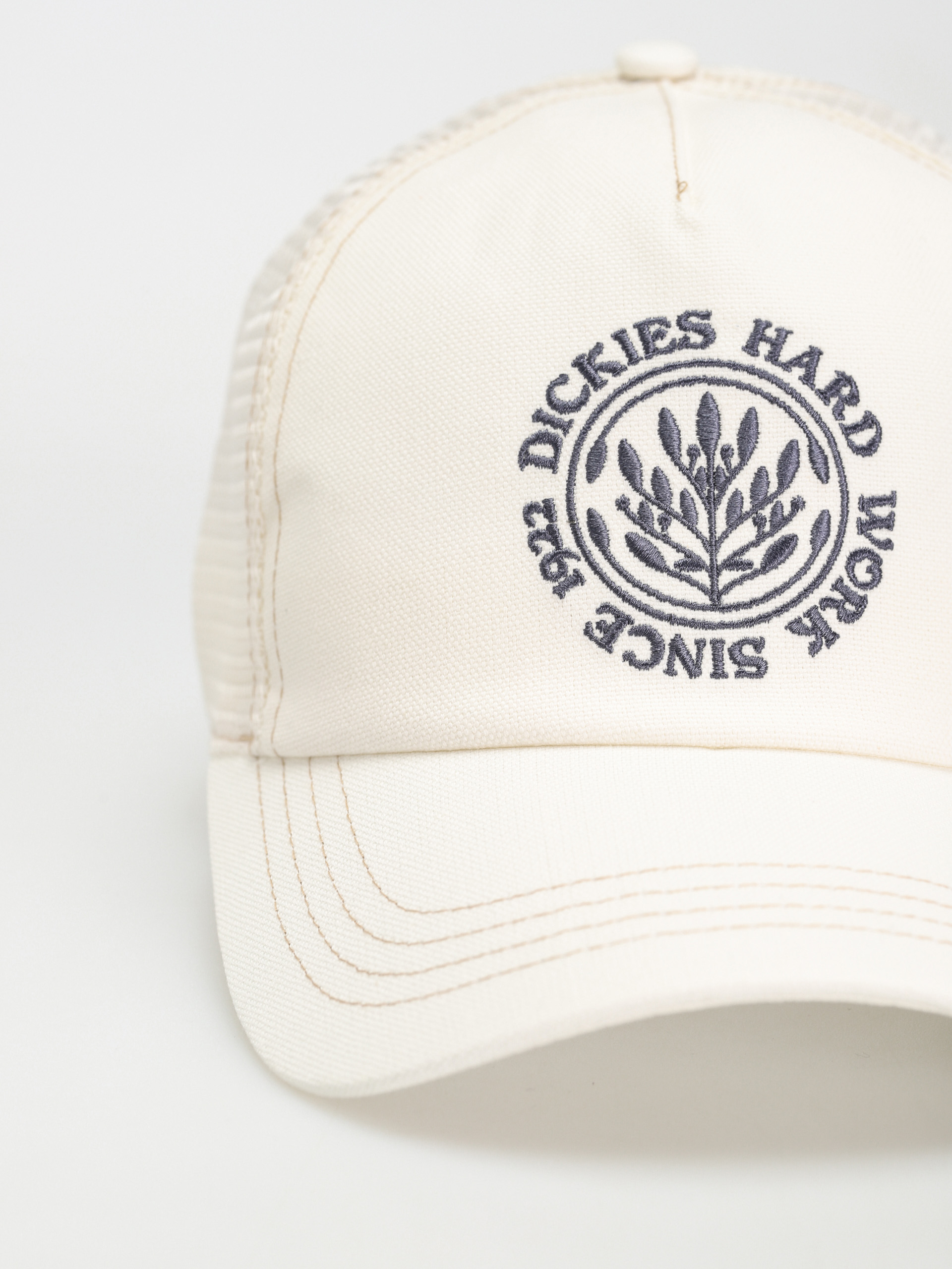 Dickies Beavertown Baseball sapka (cloud)