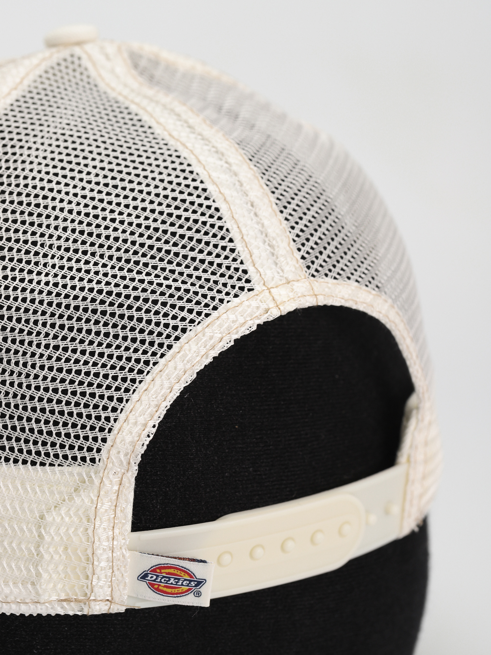 Dickies Beavertown Baseball sapka (cloud)