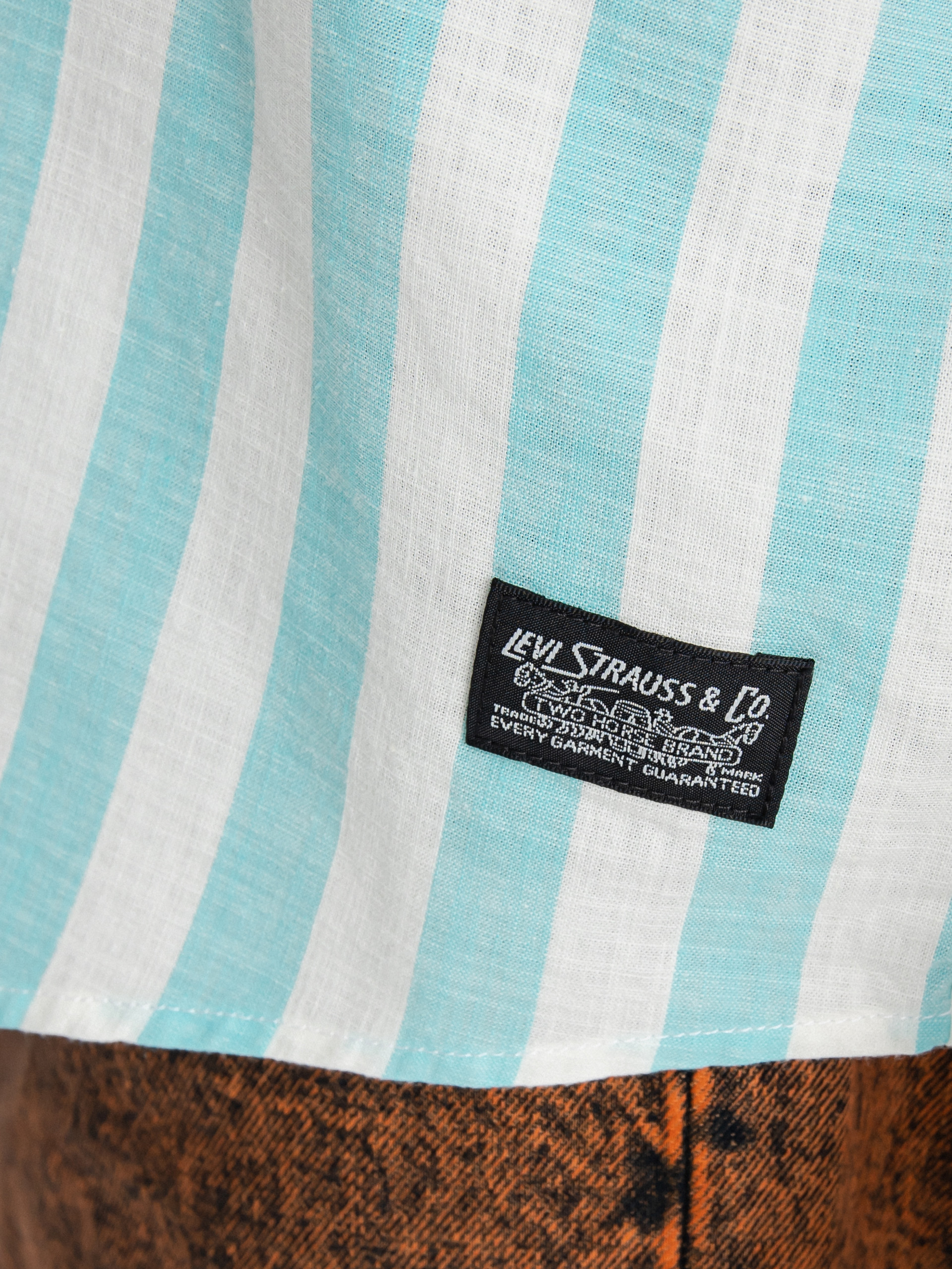 Levi's® Skate Woven 90S Ing (blue white stripe)