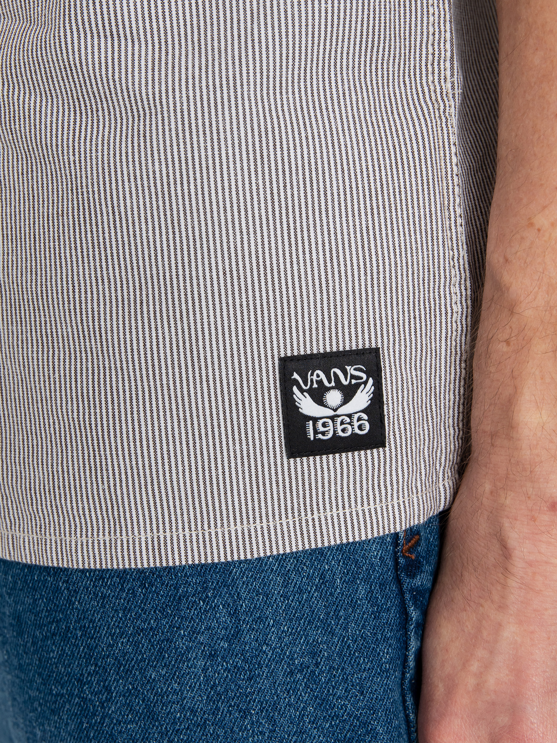 Vans Dakota Roche Ing (dakota roche white/demitasse)