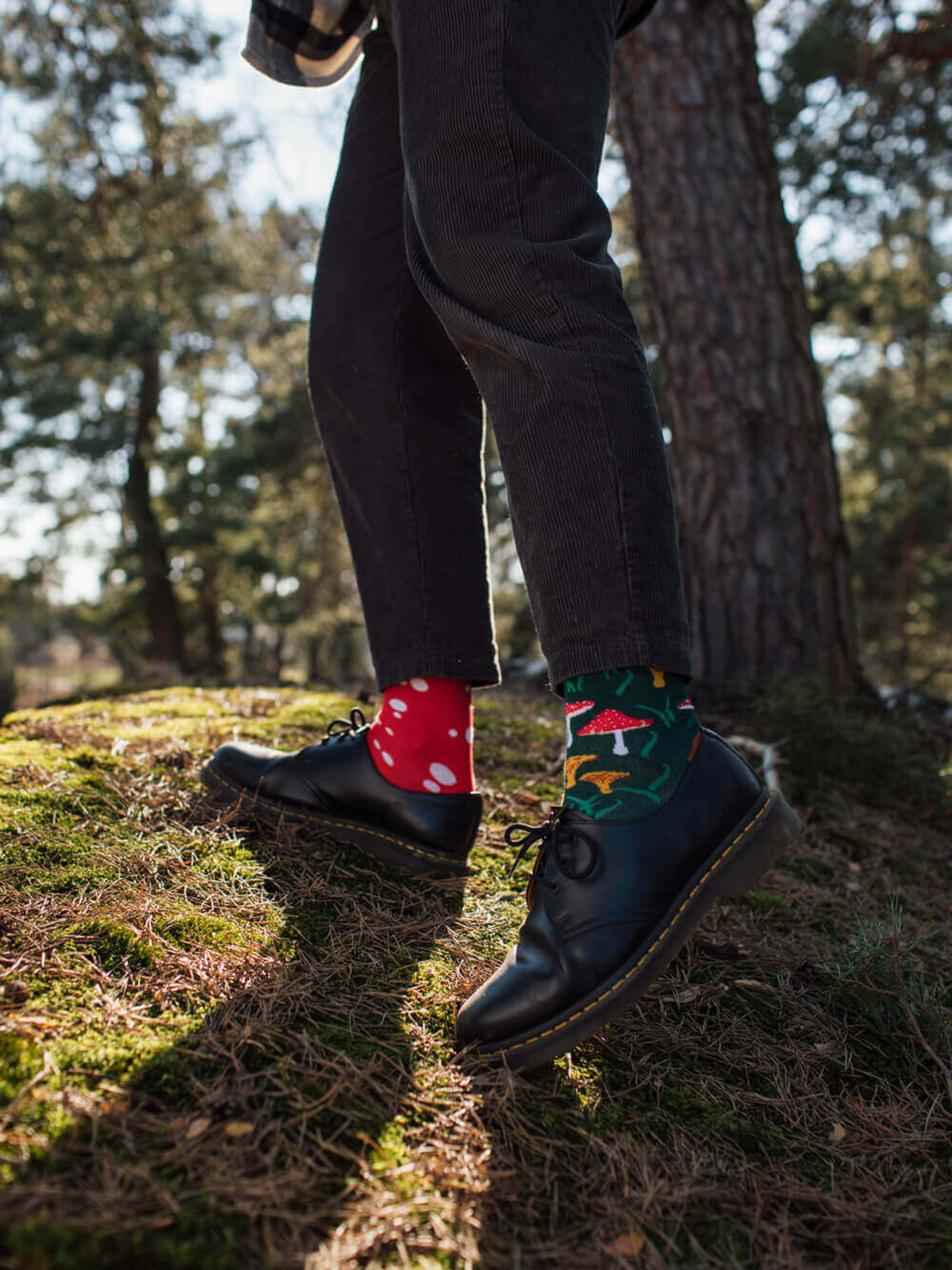 Many Mornings Meet The Shrooms Zokni (green/red)