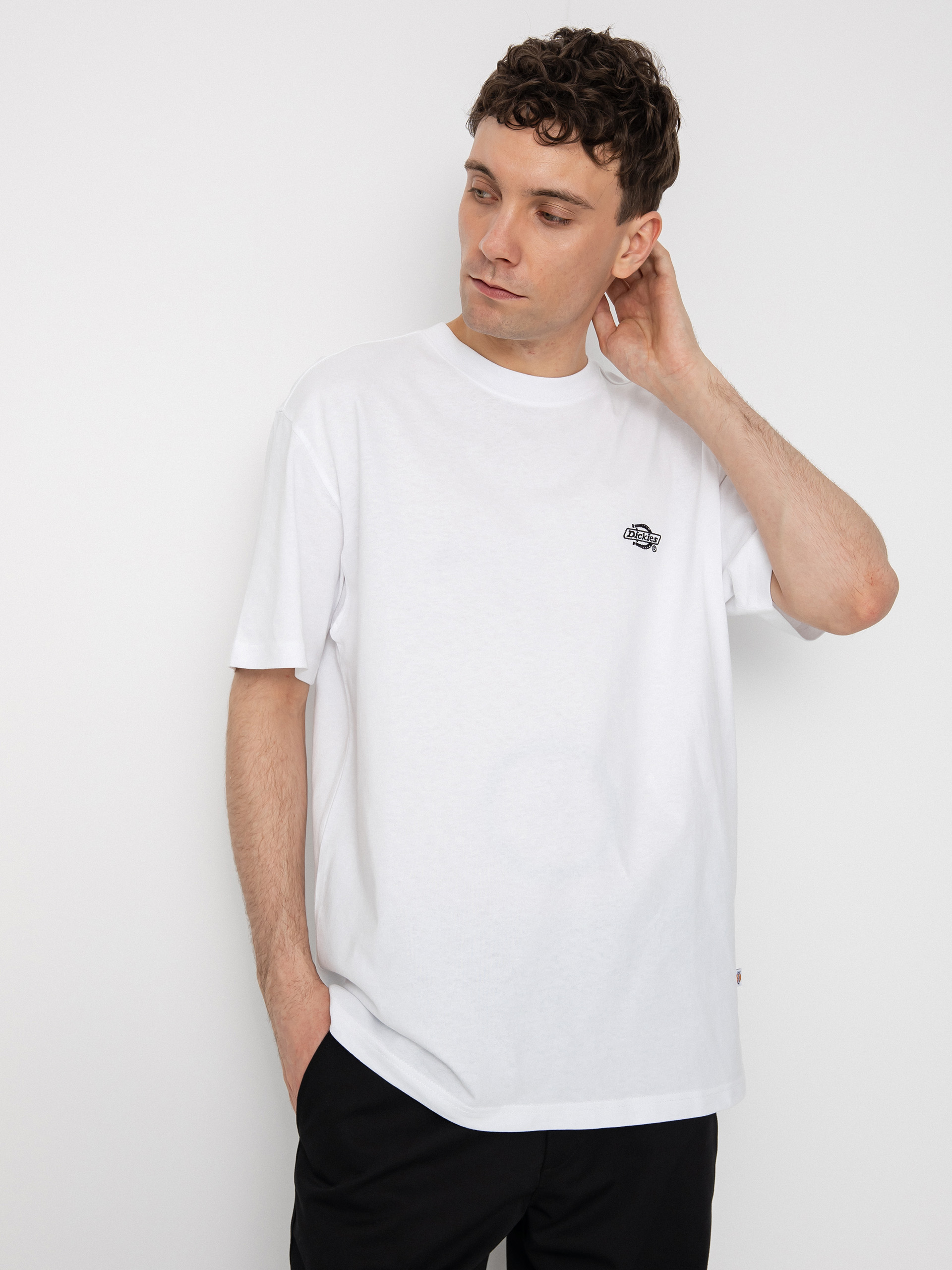 Dickies Summerdale pu00f3lu00f3 (white)