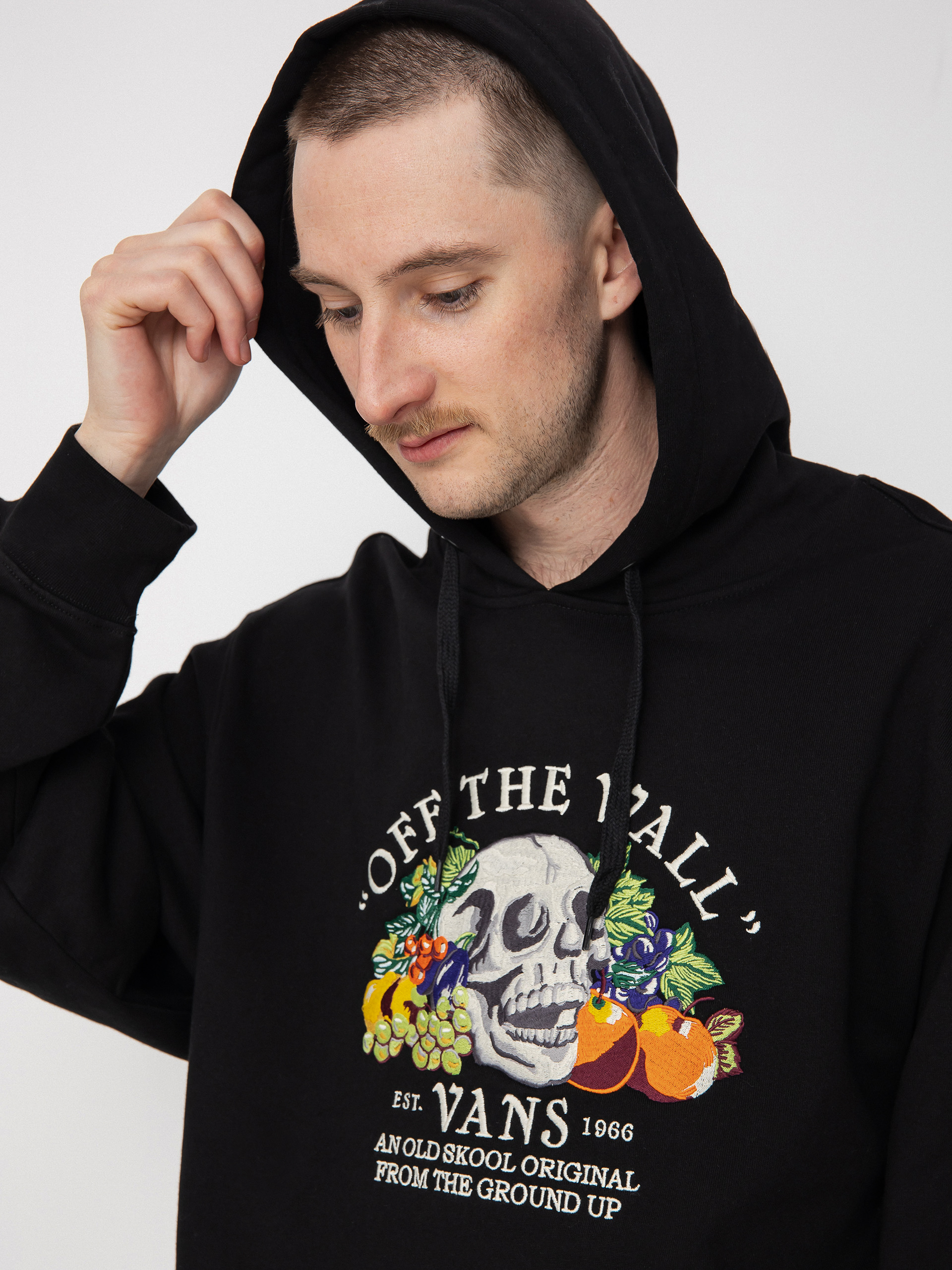 Vans From The Ground Up HD Kapucnis pulóver (black)