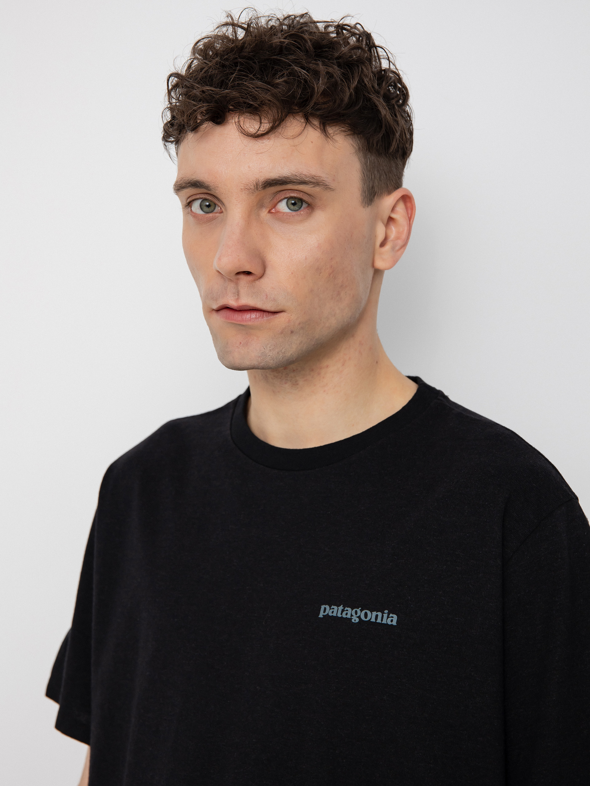 Patagonia Fitz Roy Icon Responsibili póló (ink black)