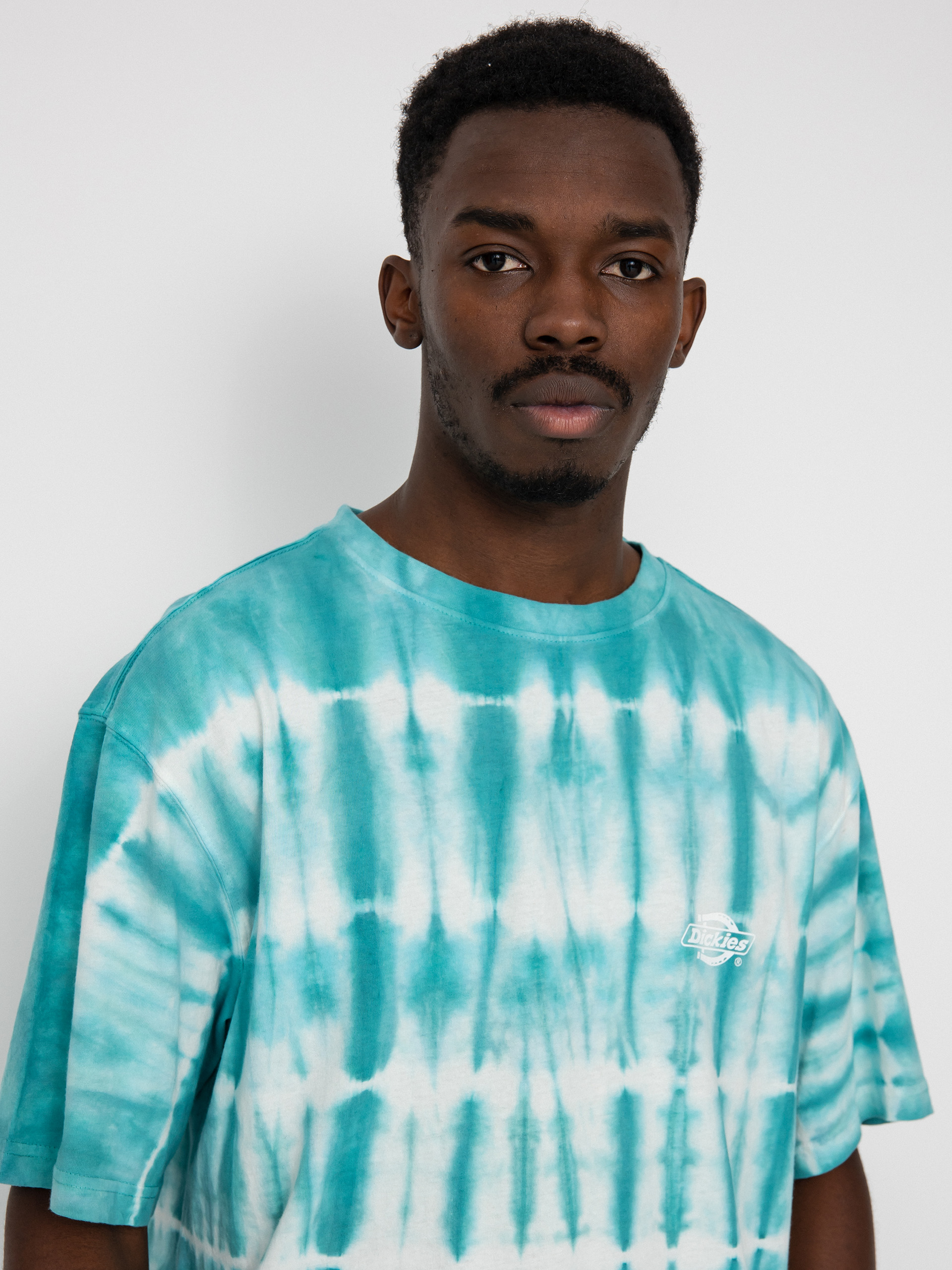 Dickies Westfir póló (sky blue)