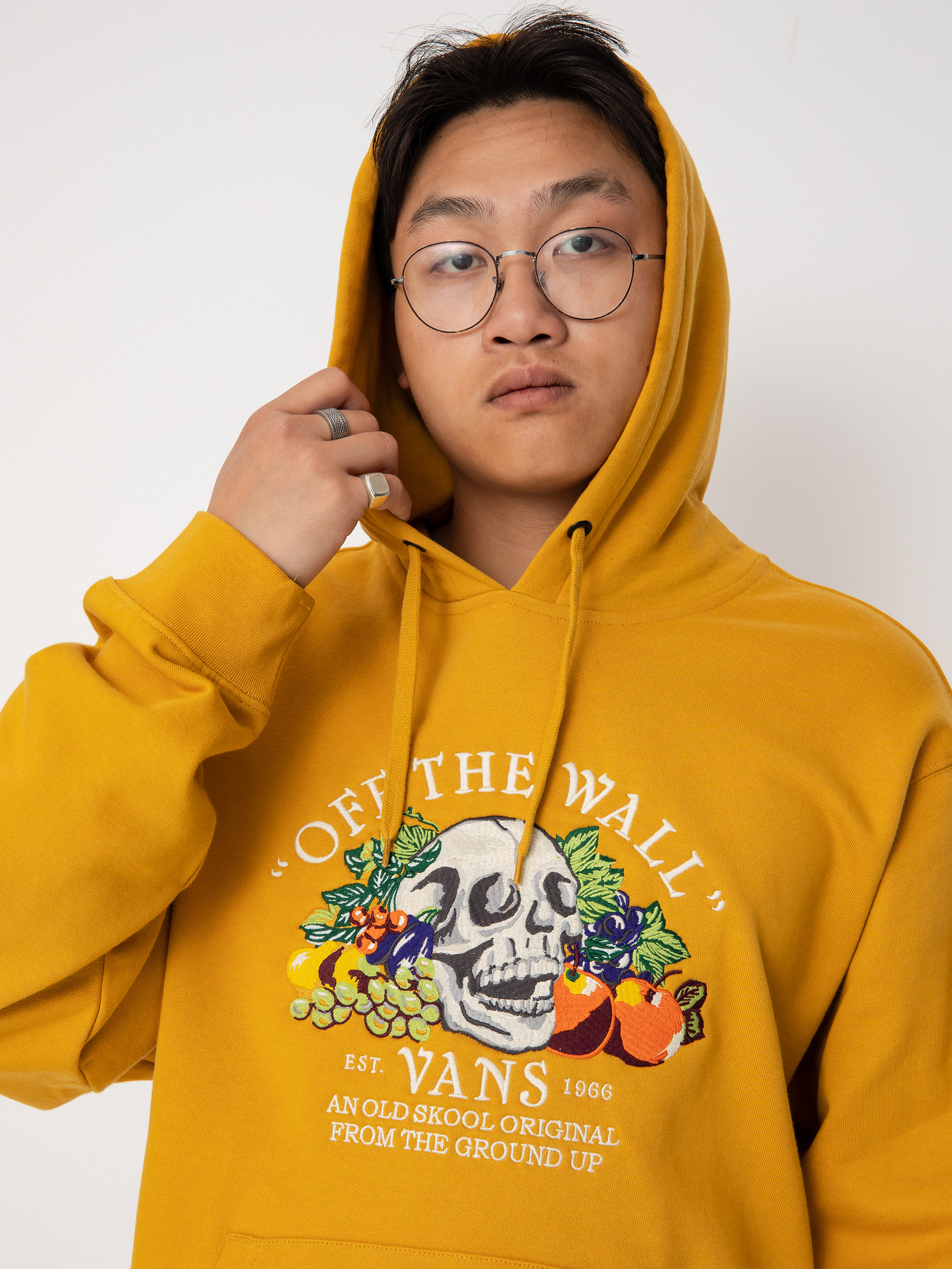 Vans From The Ground Up HD Kapucnis pulóver (narcissus)