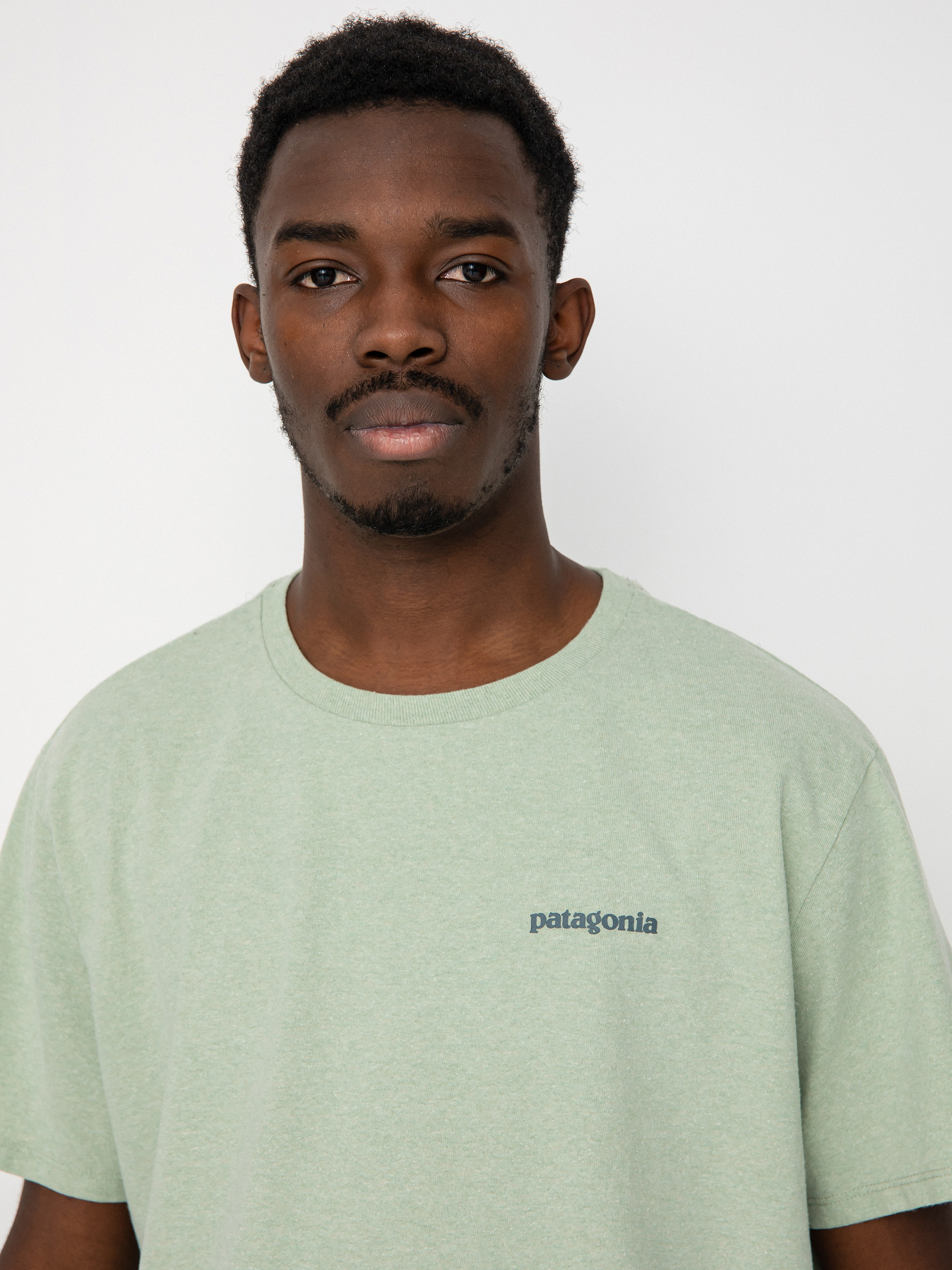 Patagonia Fitz Roy Icon Responsibili póló (salvia green)