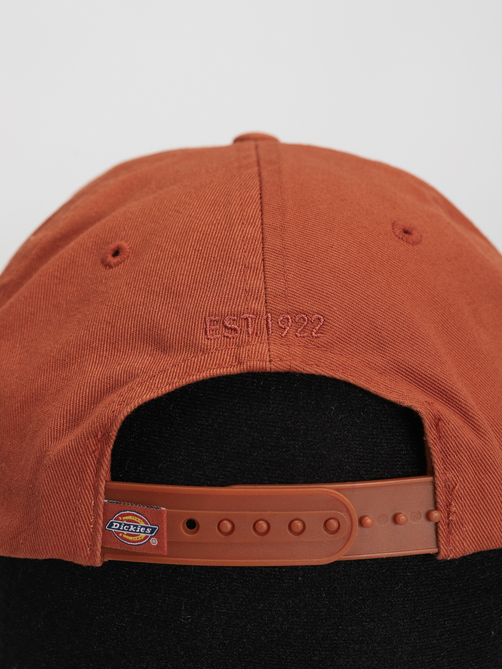 Dickies Hardwick Baseball sapka (bombay brown)
