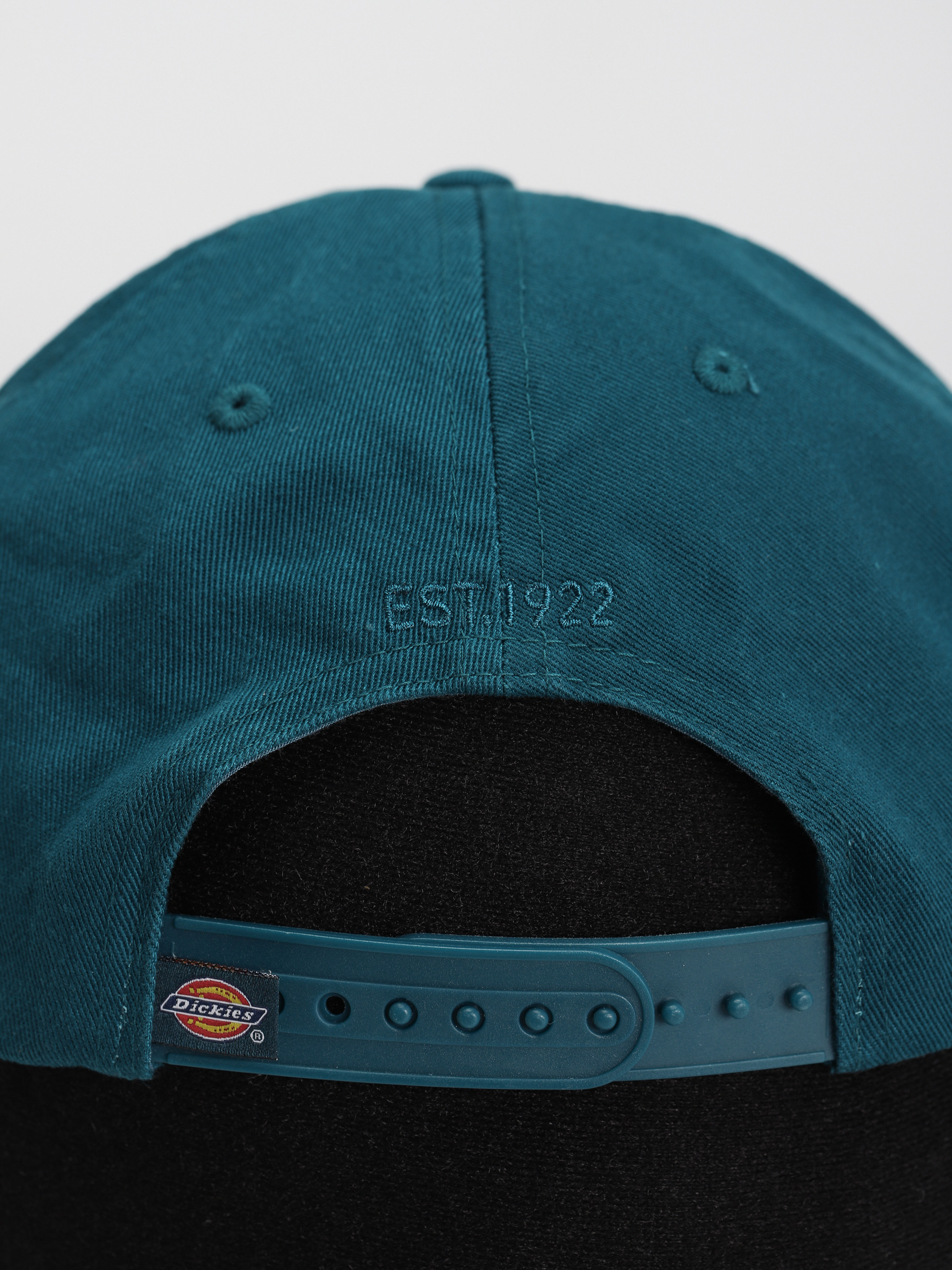 Dickies Hardwick Baseball sapka (reflecting pond)