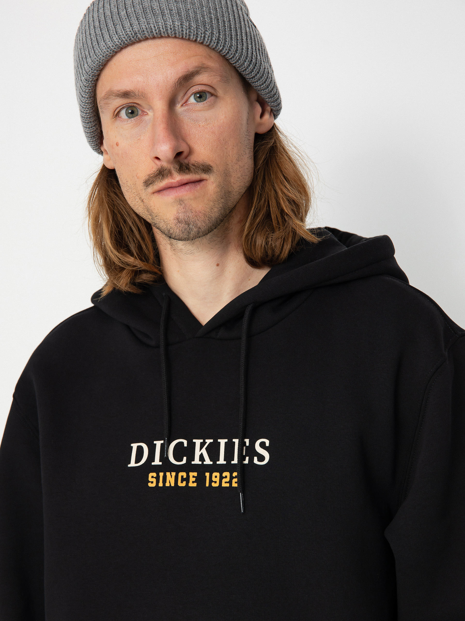 Dickies Park HD Kapucnis pulóver (black)