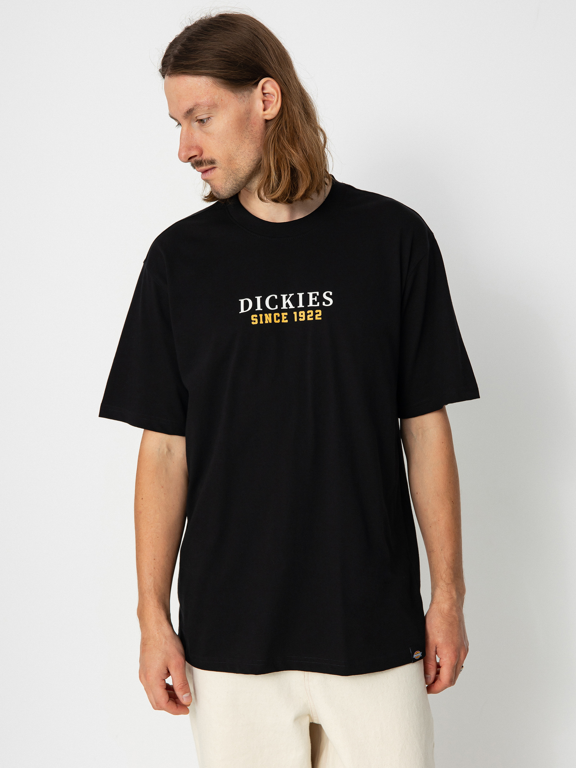 Dickies Park póló (black)