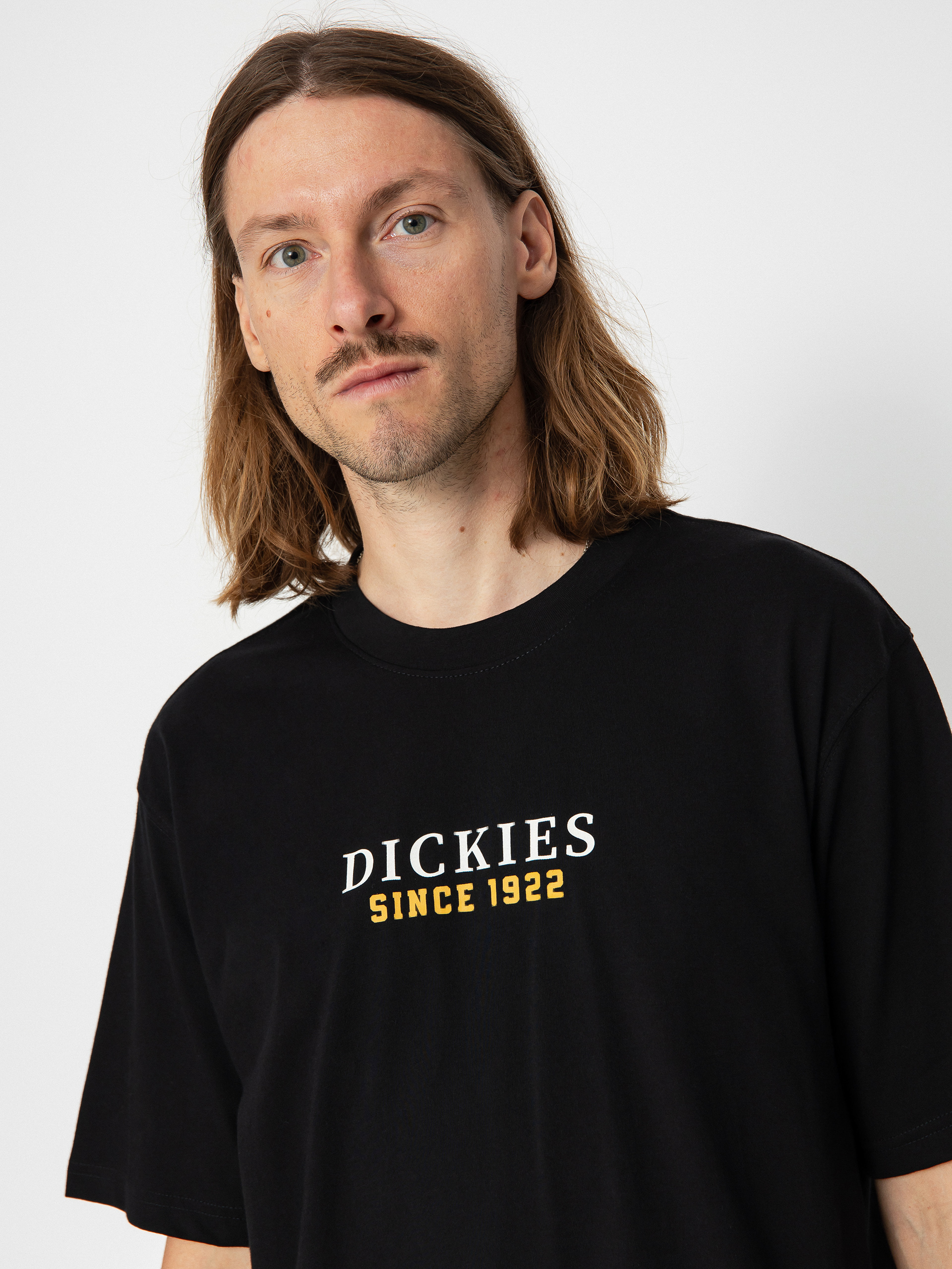 Dickies Park póló (black)
