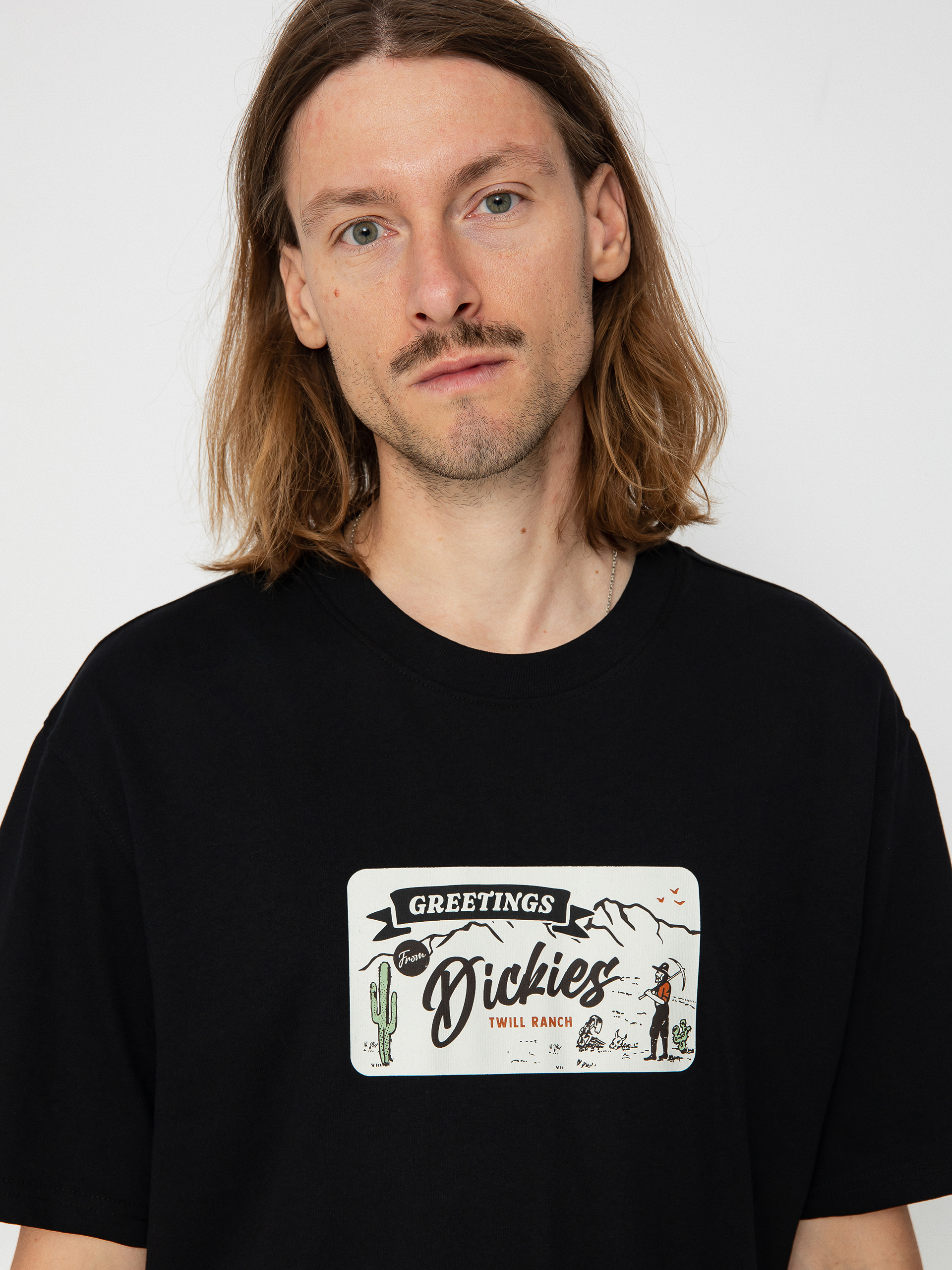 Dickies Rossville póló (black)