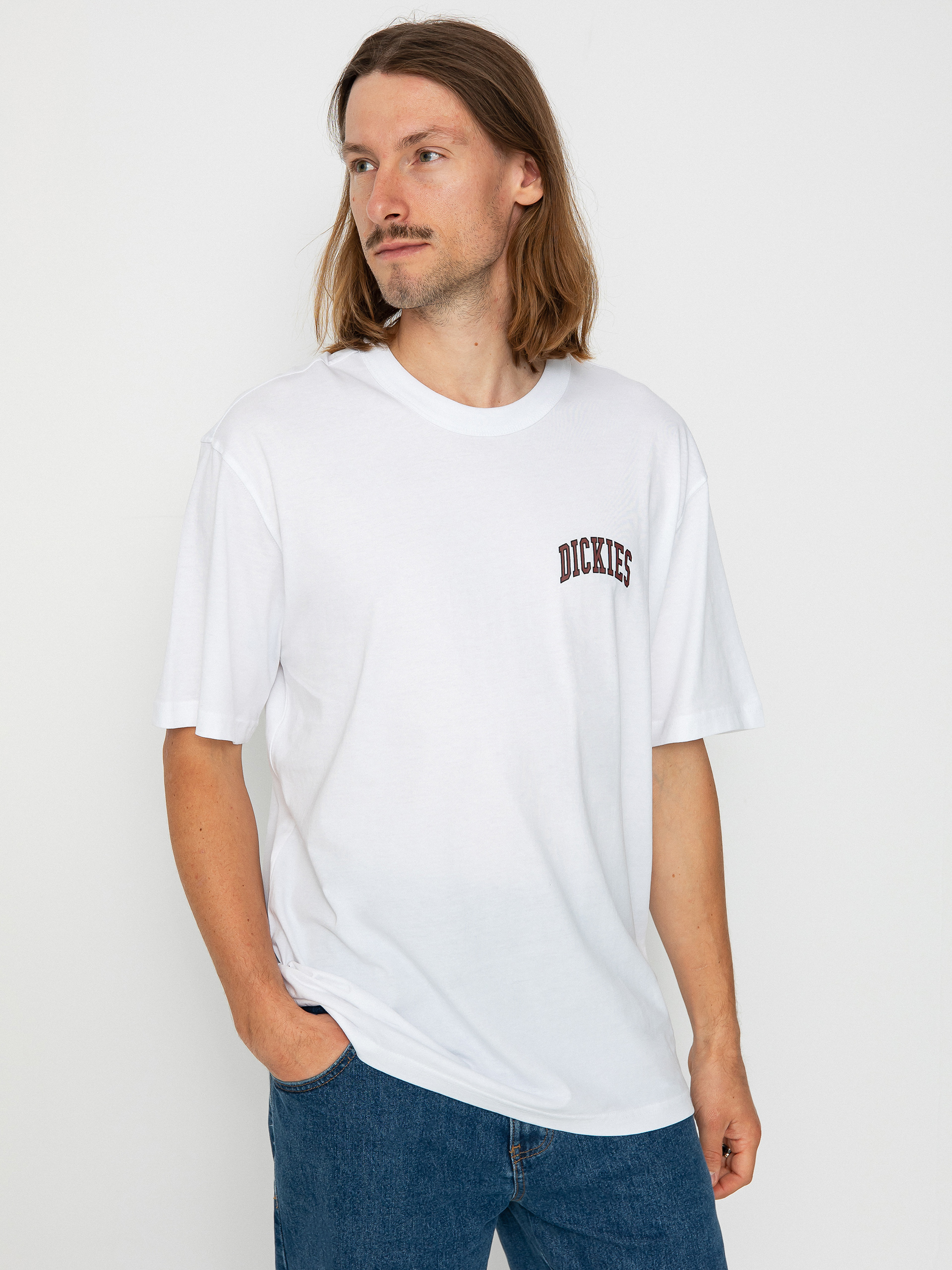 Dickies Aitkin Chest póló (white/fired)