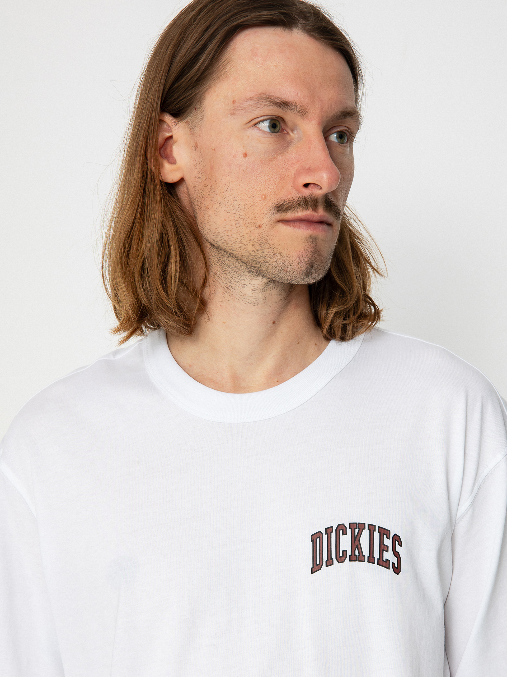 Dickies Aitkin Chest póló (white/fired)