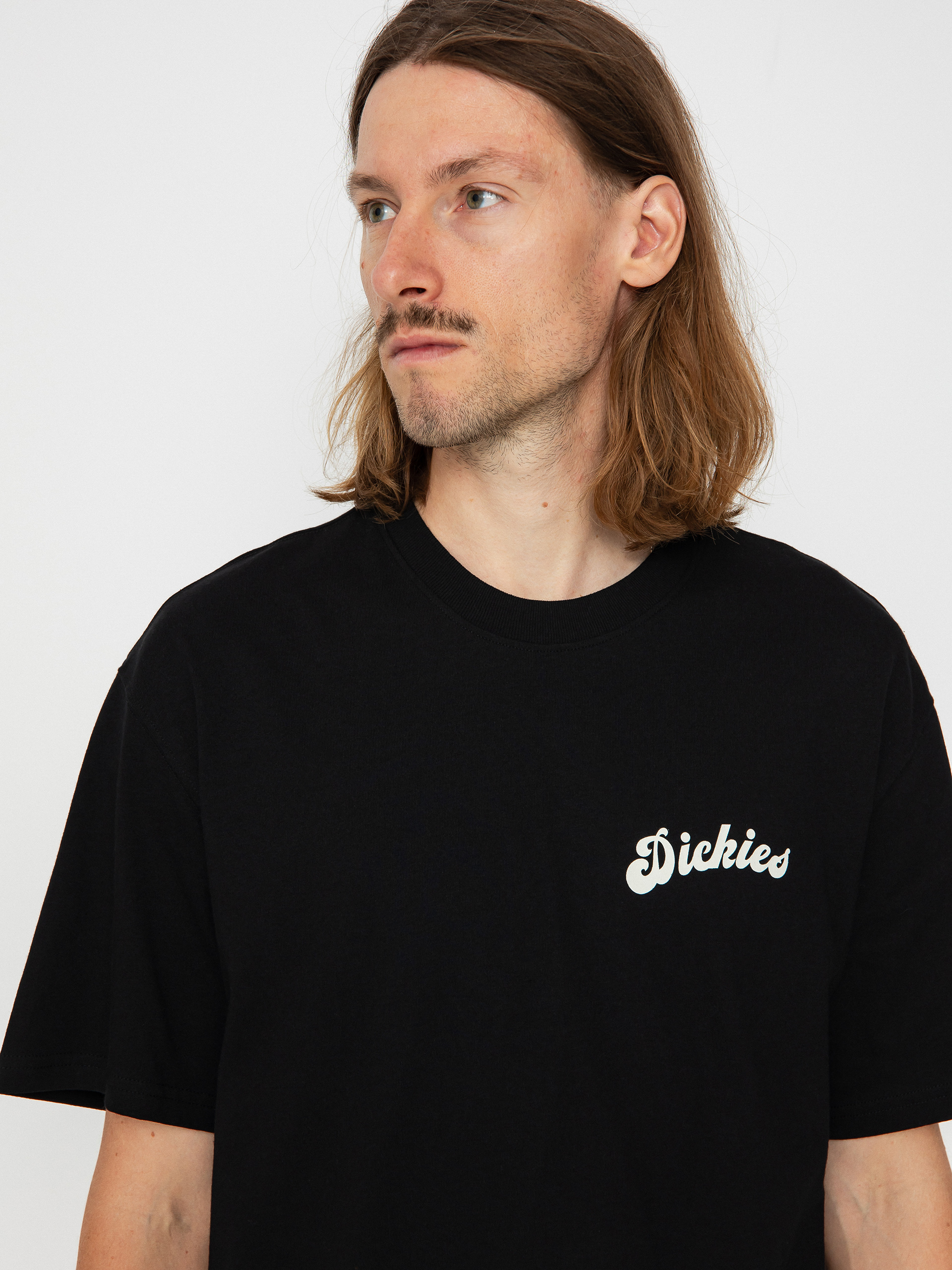 Dickies Grainfield póló (black)