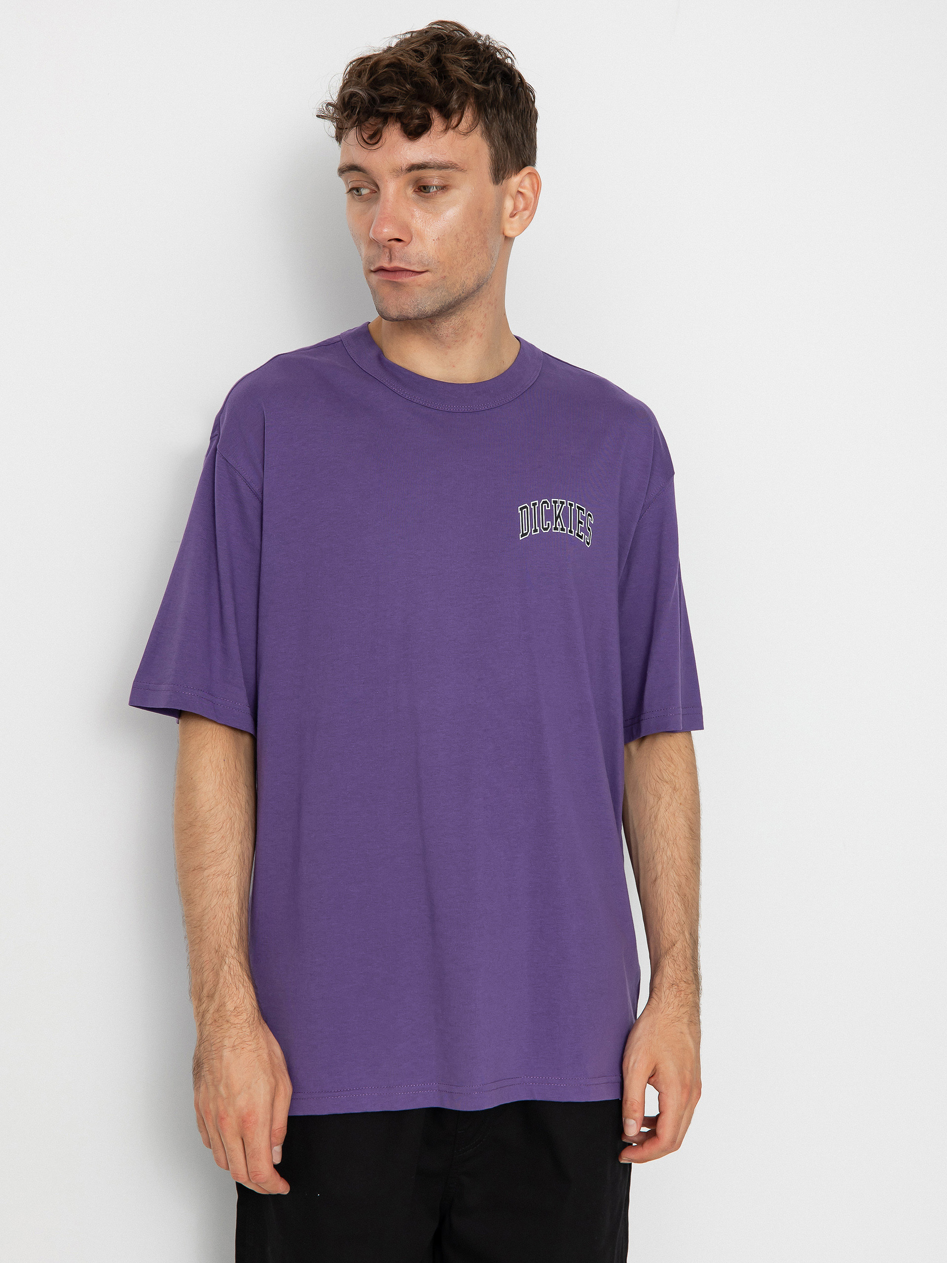 Dickies Aitkin Chest póló (imperial palace)