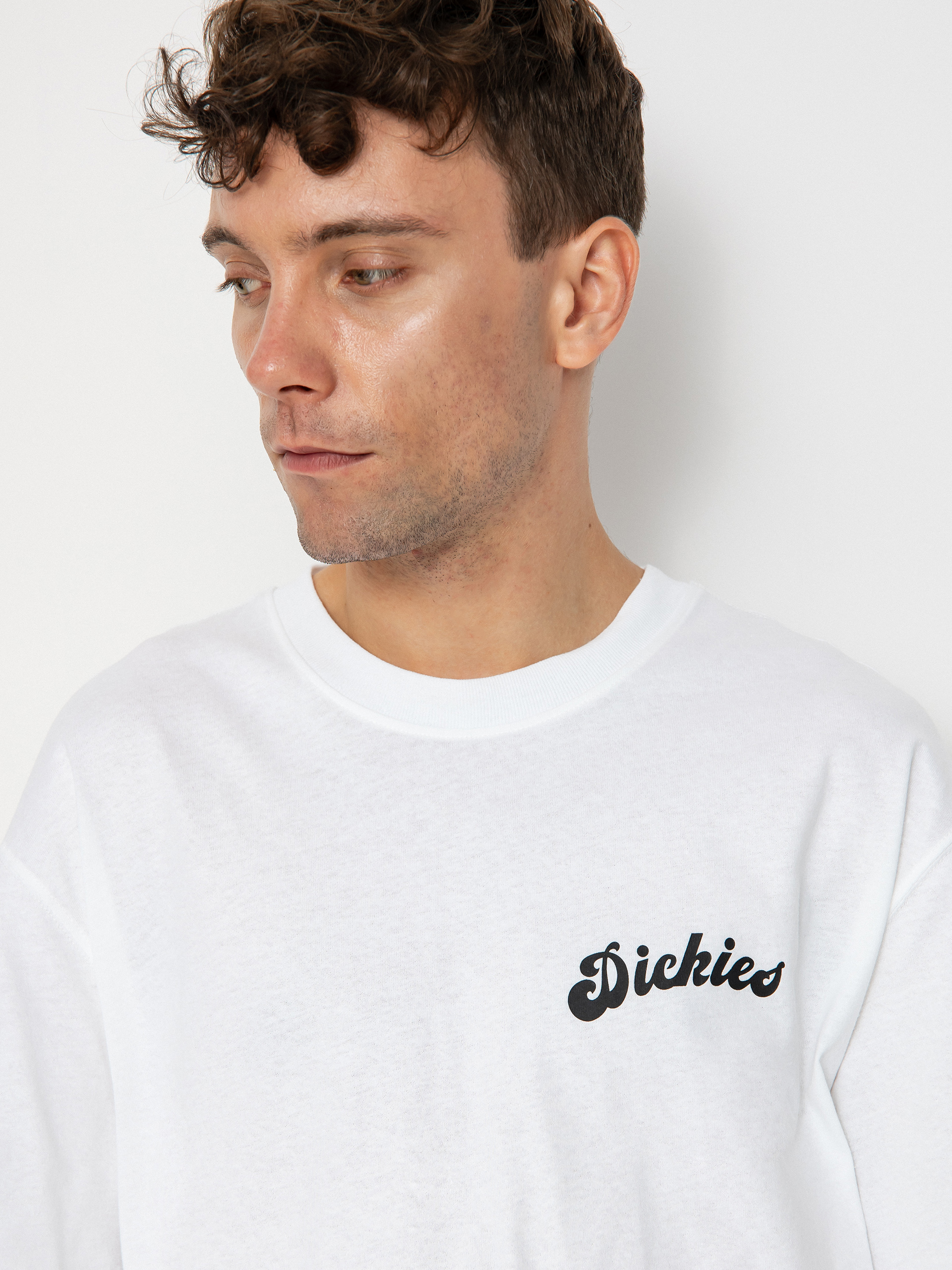 Dickies Grainfield póló (white)